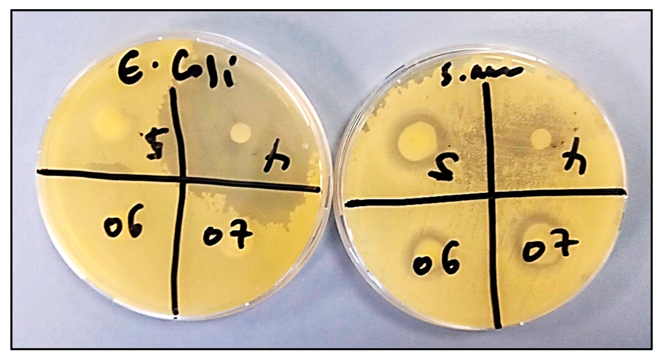 Sustainability 15 03189 g009