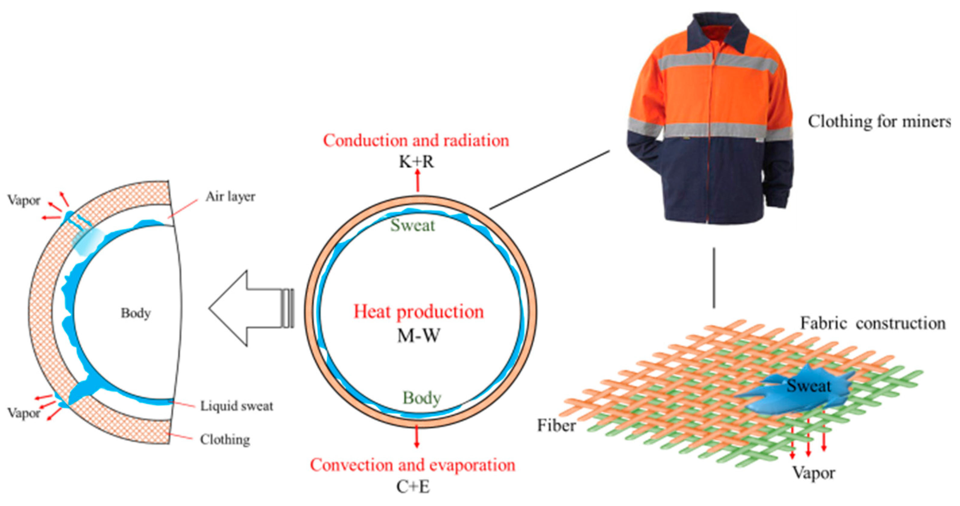 Sustainability 15 03193 g001 Sustainability 15 03193 g001