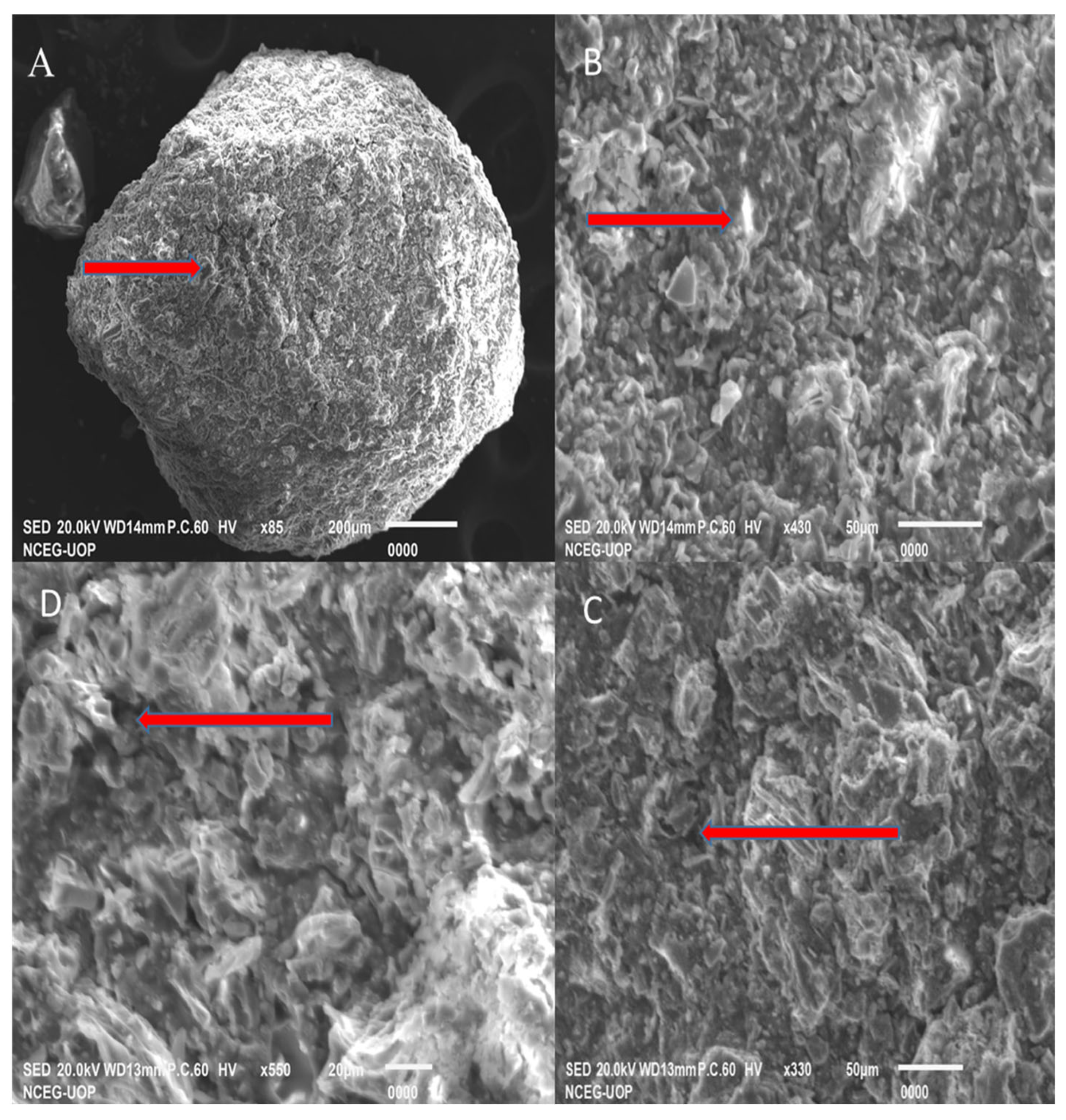 Sustainability 15 03194 g001