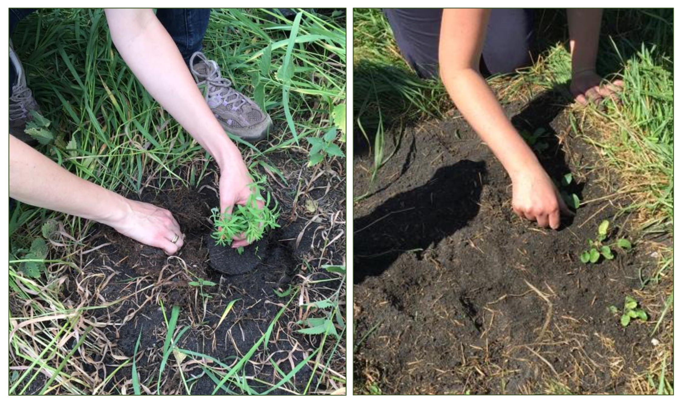 Sustainability 15 03231 g005 550