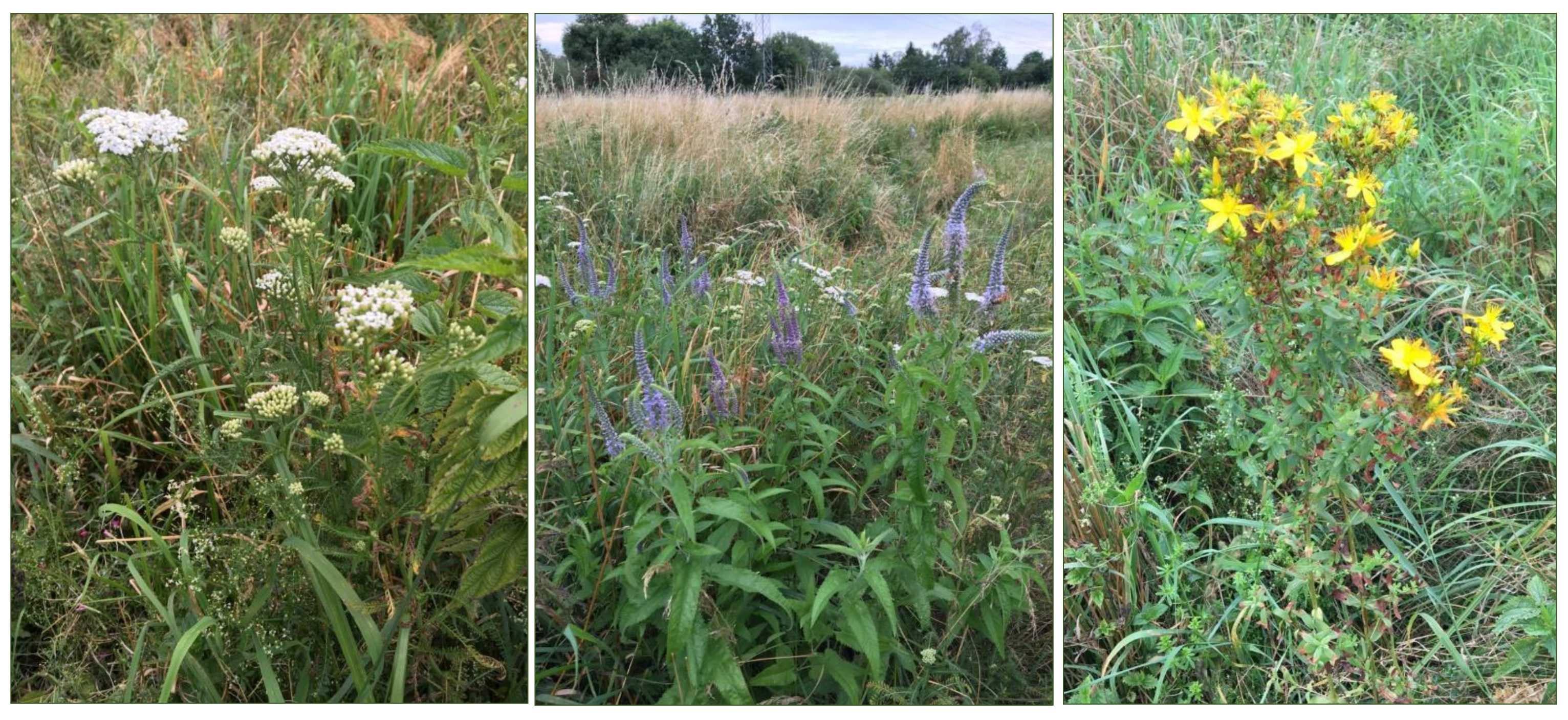 Sustainability 15 03231 g014 550