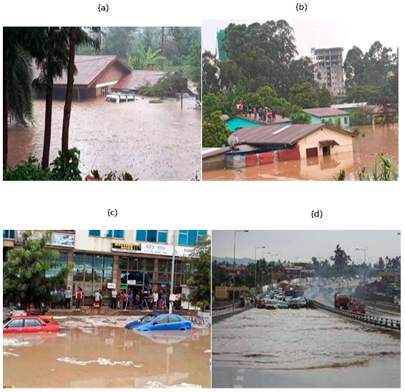 Sustainability 15 03235 g004 Sustainability 15 03235 g004