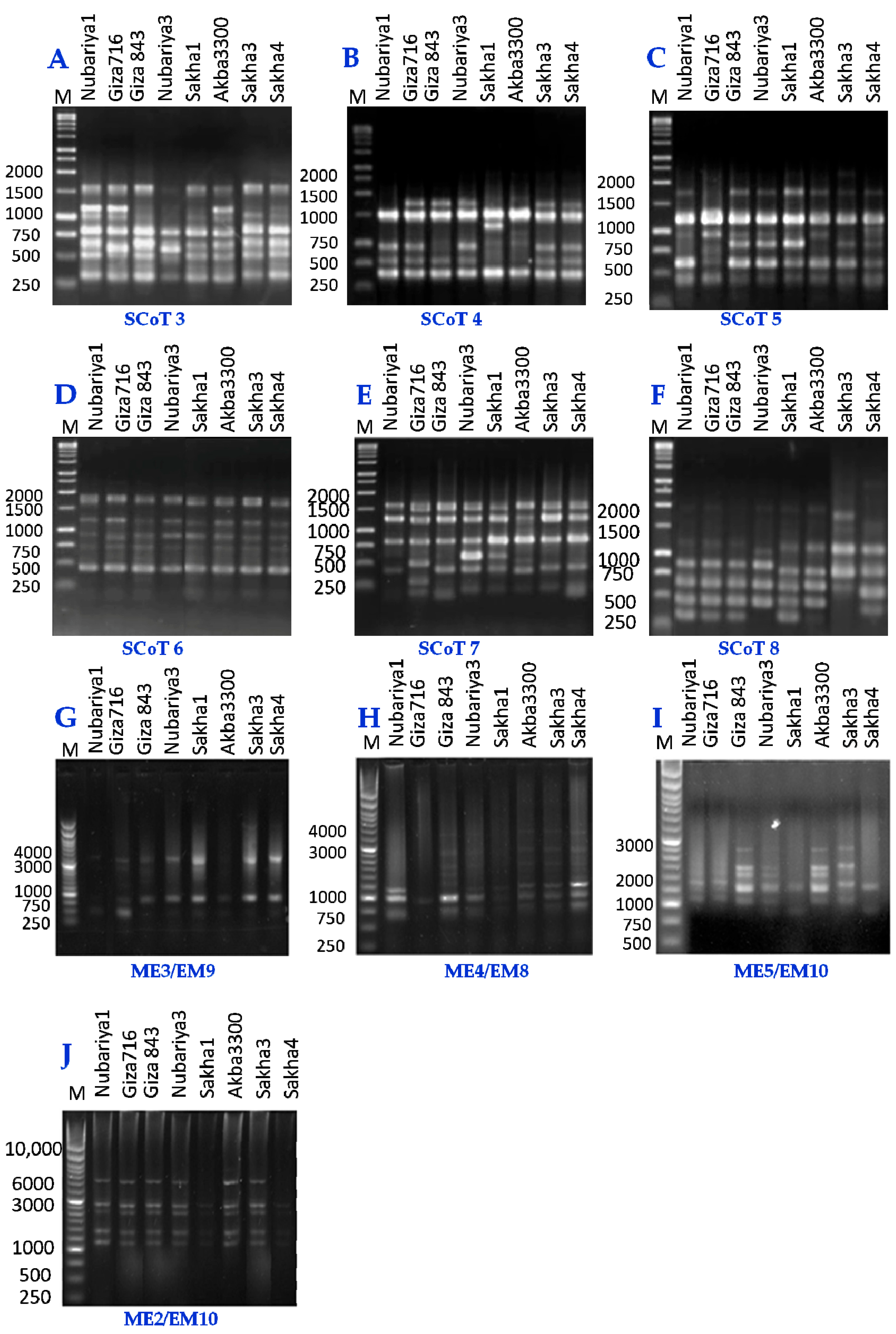 Sustainability 15 03291 g002