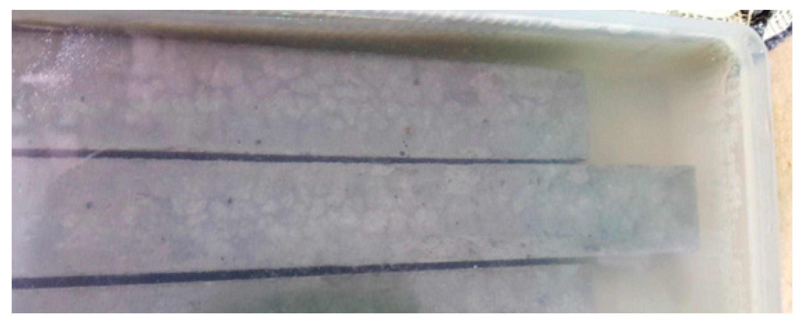 Sustainability 15 03319 g016