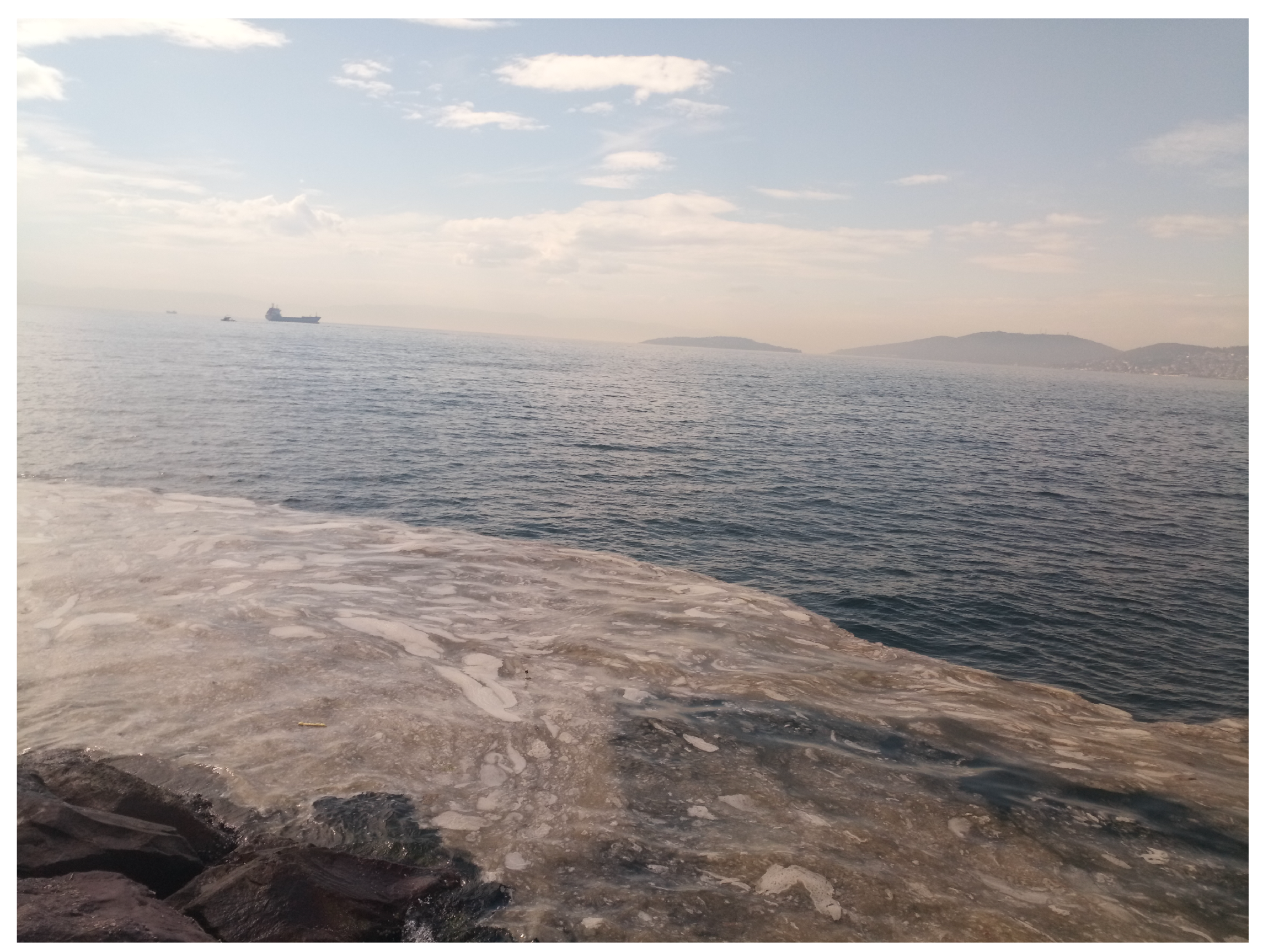 Sustainability 15 03340 g002 550