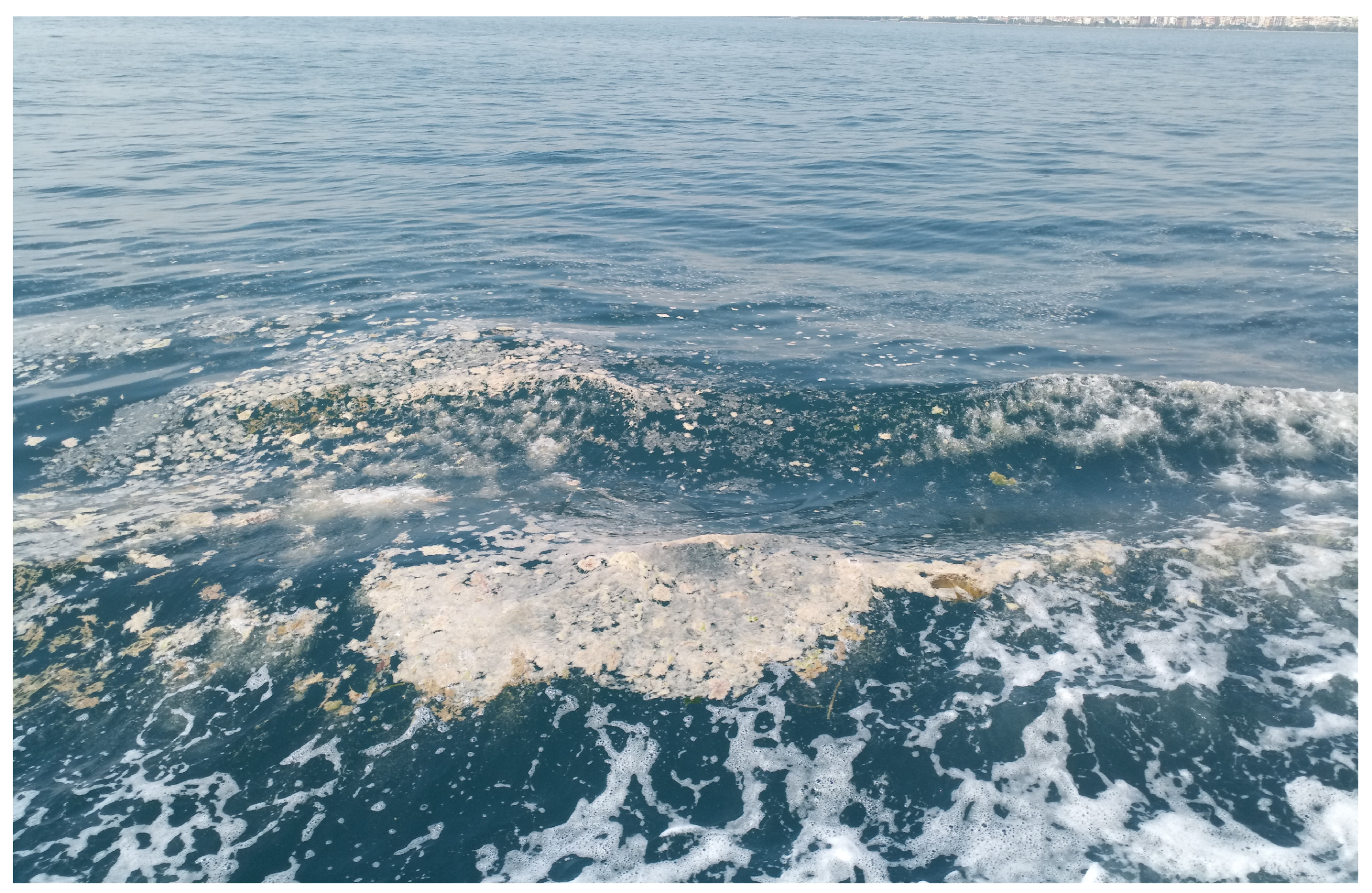 Sustainability 15 03340 g004 550