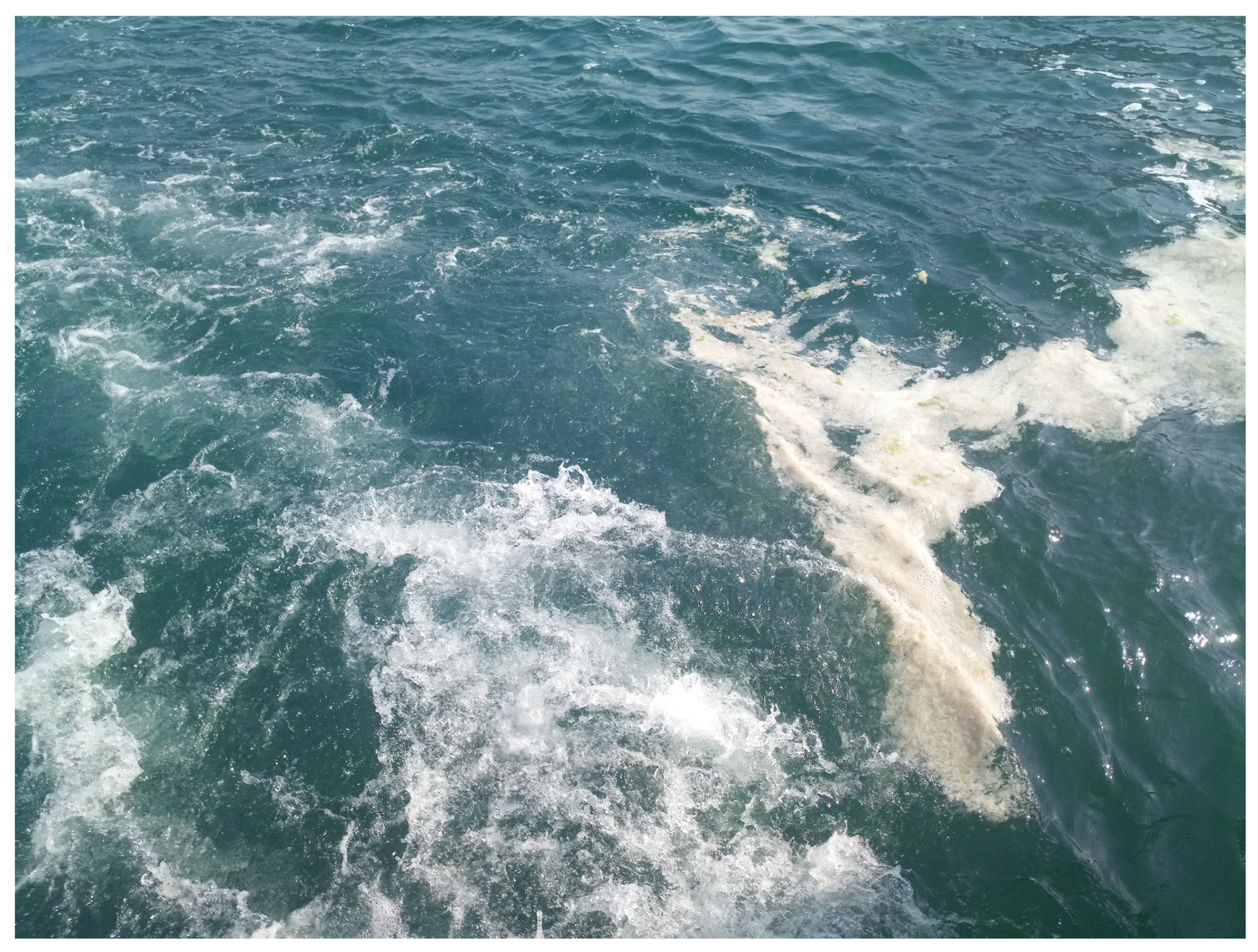 Sustainability 15 03340 g005 550