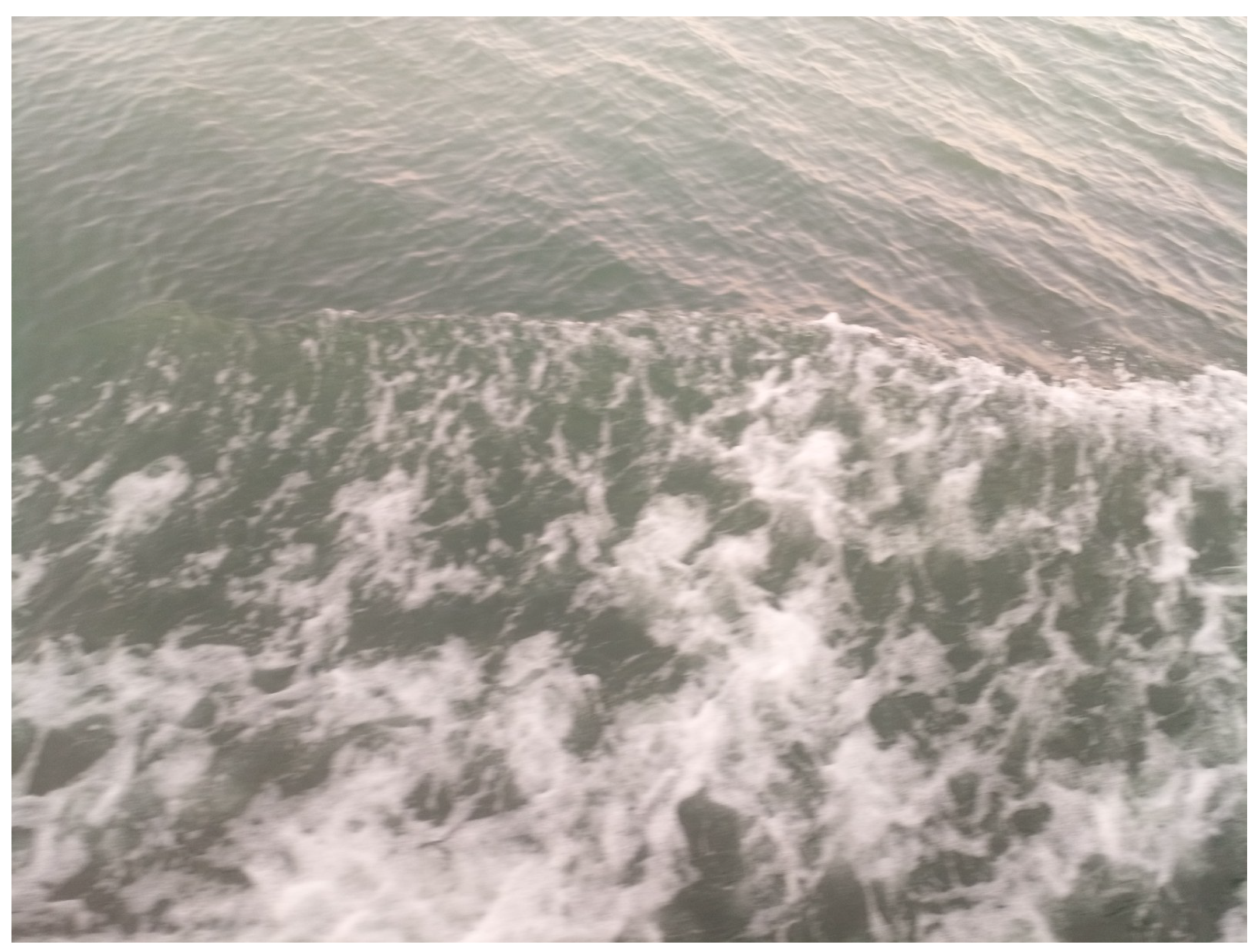 Sustainability 15 03340 g006 550