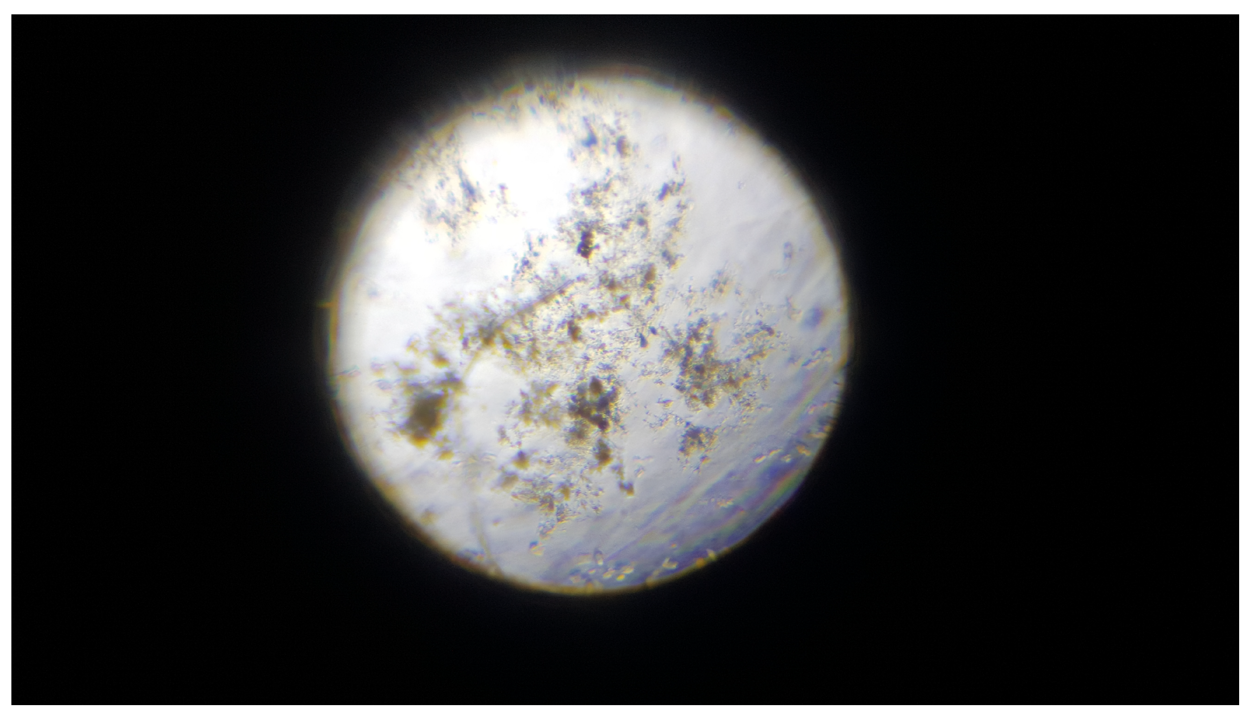 Sustainability 15 03340 g009 550