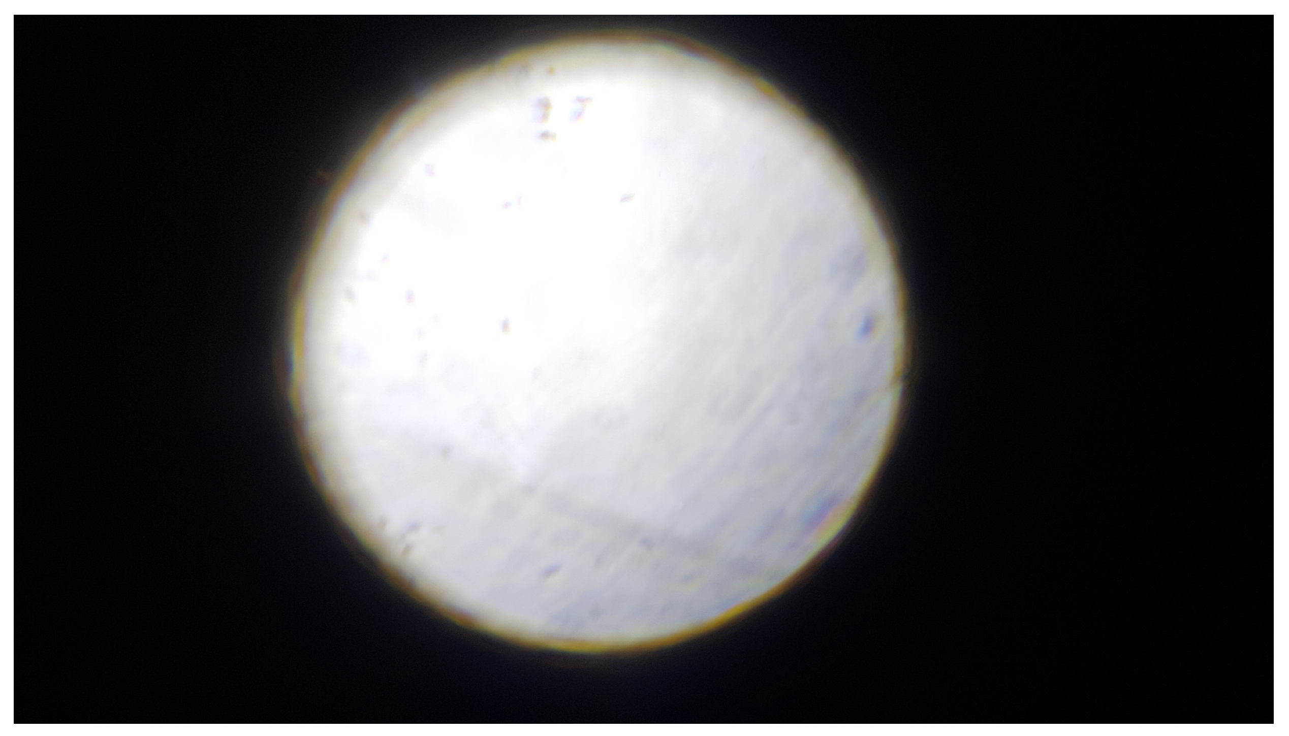 Sustainability 15 03340 g010 550