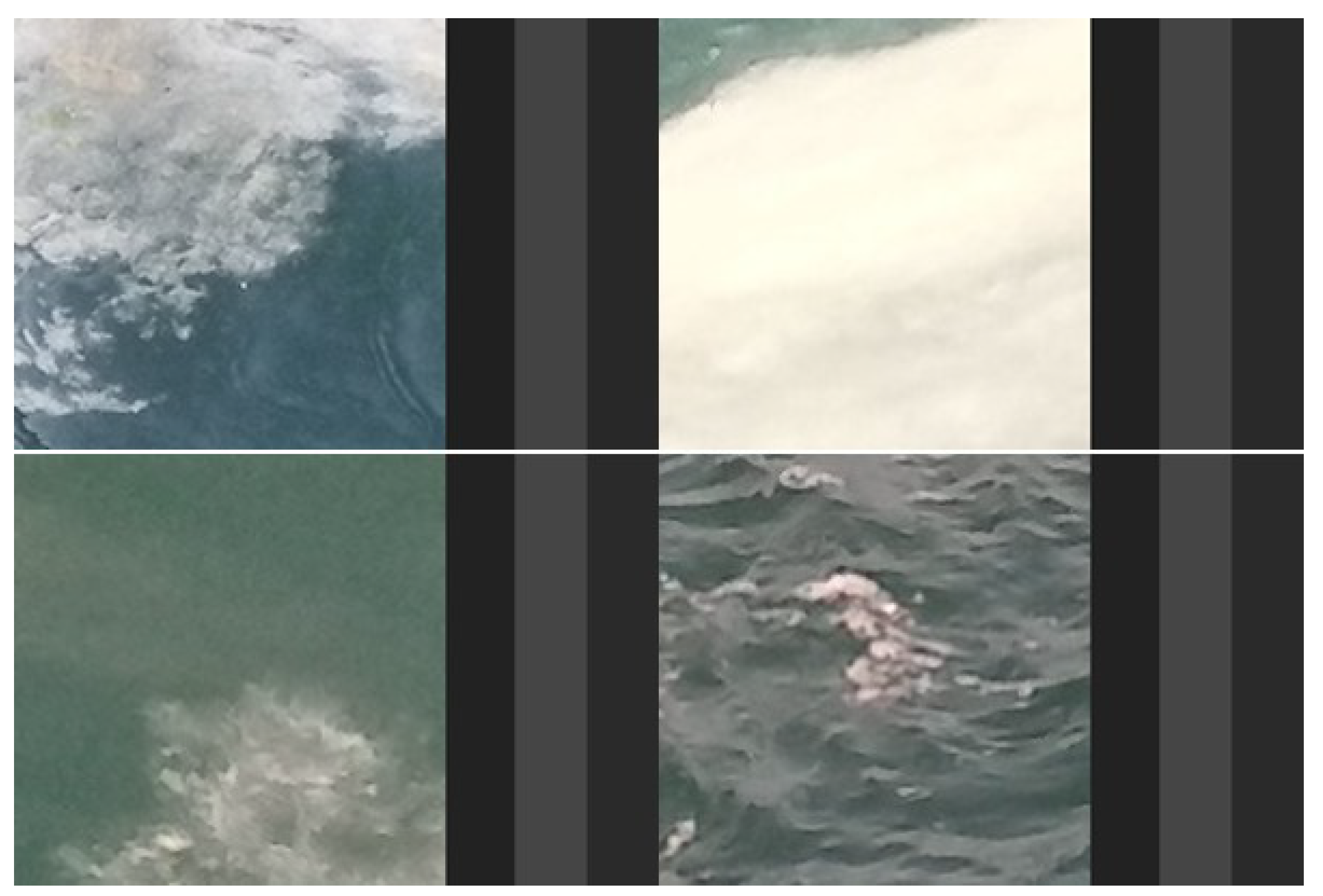 Sustainability 15 03340 g013 550