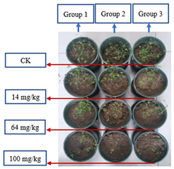 Sustainability 15 03359 i001