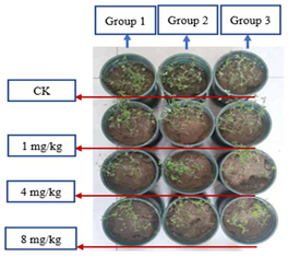 Sustainability 15 03359 i005