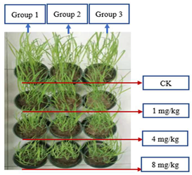 Sustainability 15 03359 i006
