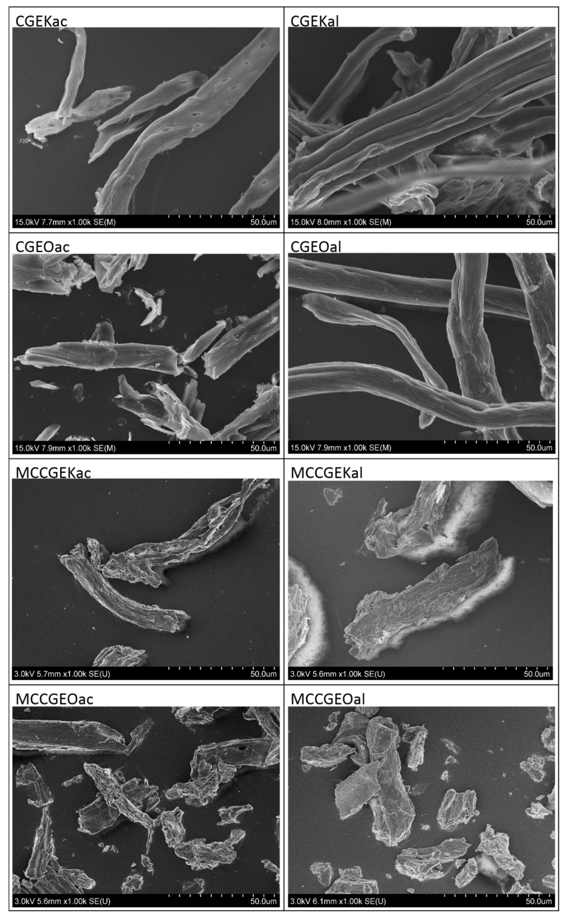 Sustainability 15 03384 g003 Sustainability 15 03384 g003