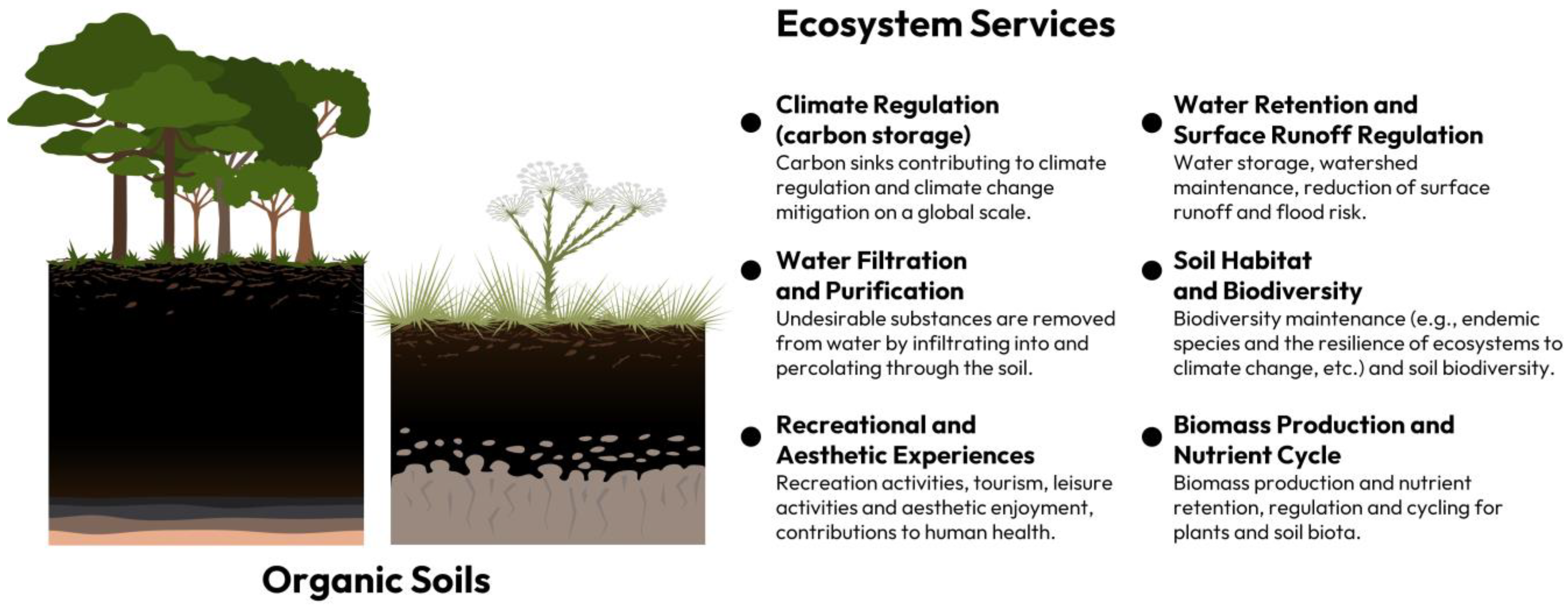 Paleoenvironmental dynamics in central‐eastern Brazil during the last 23  000 years: tropical peatland record in the Cerrado biome - Costa - 2023 -  Journal of Quaternary Science - Wiley Online Library