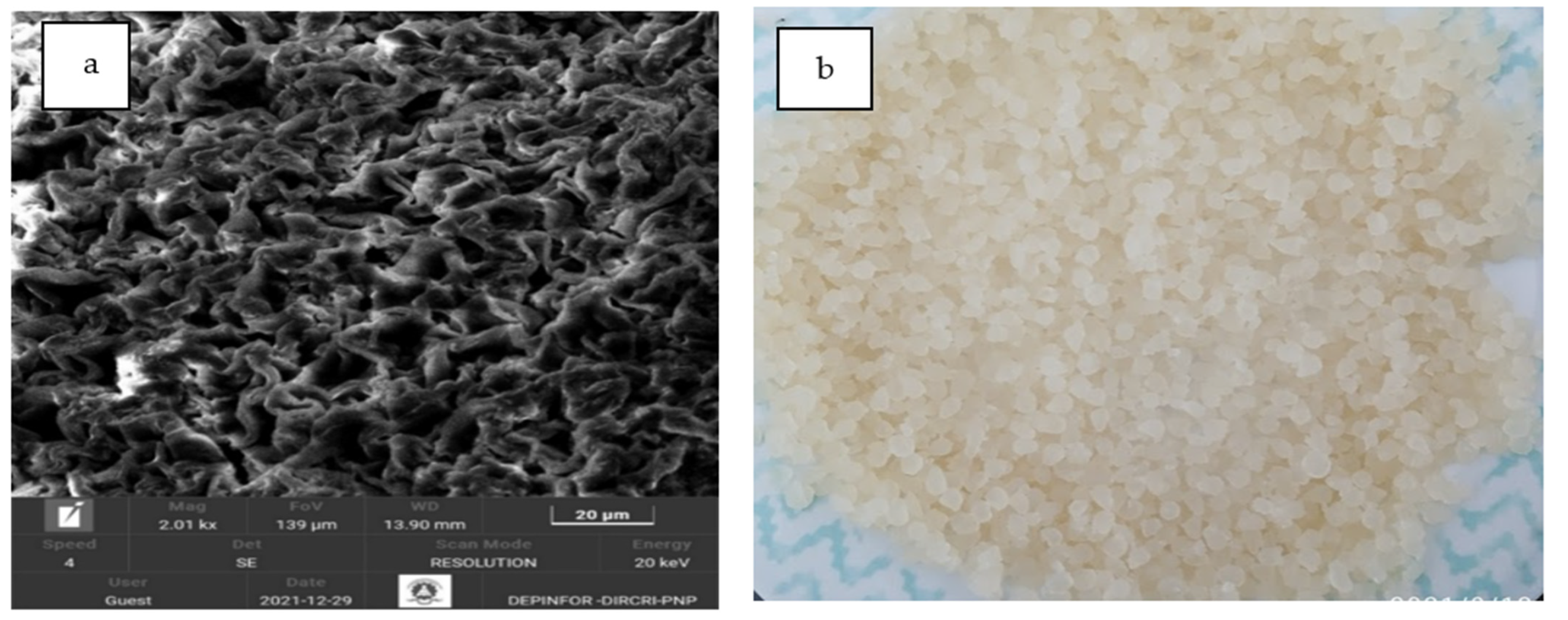 Sustainability 15 03453 g002 Sustainability 15 03453 g002