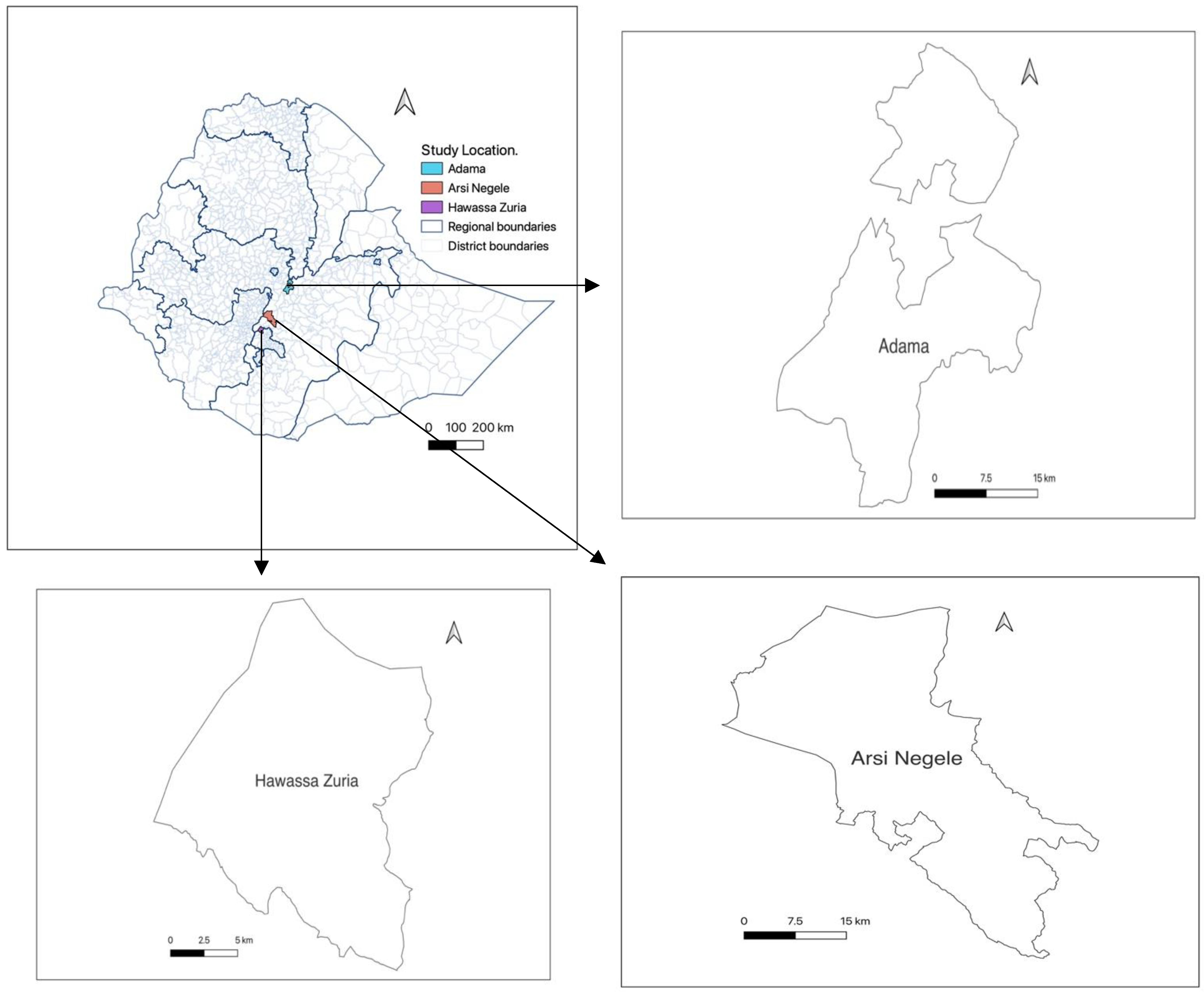 Sustainability 15 03471 g001