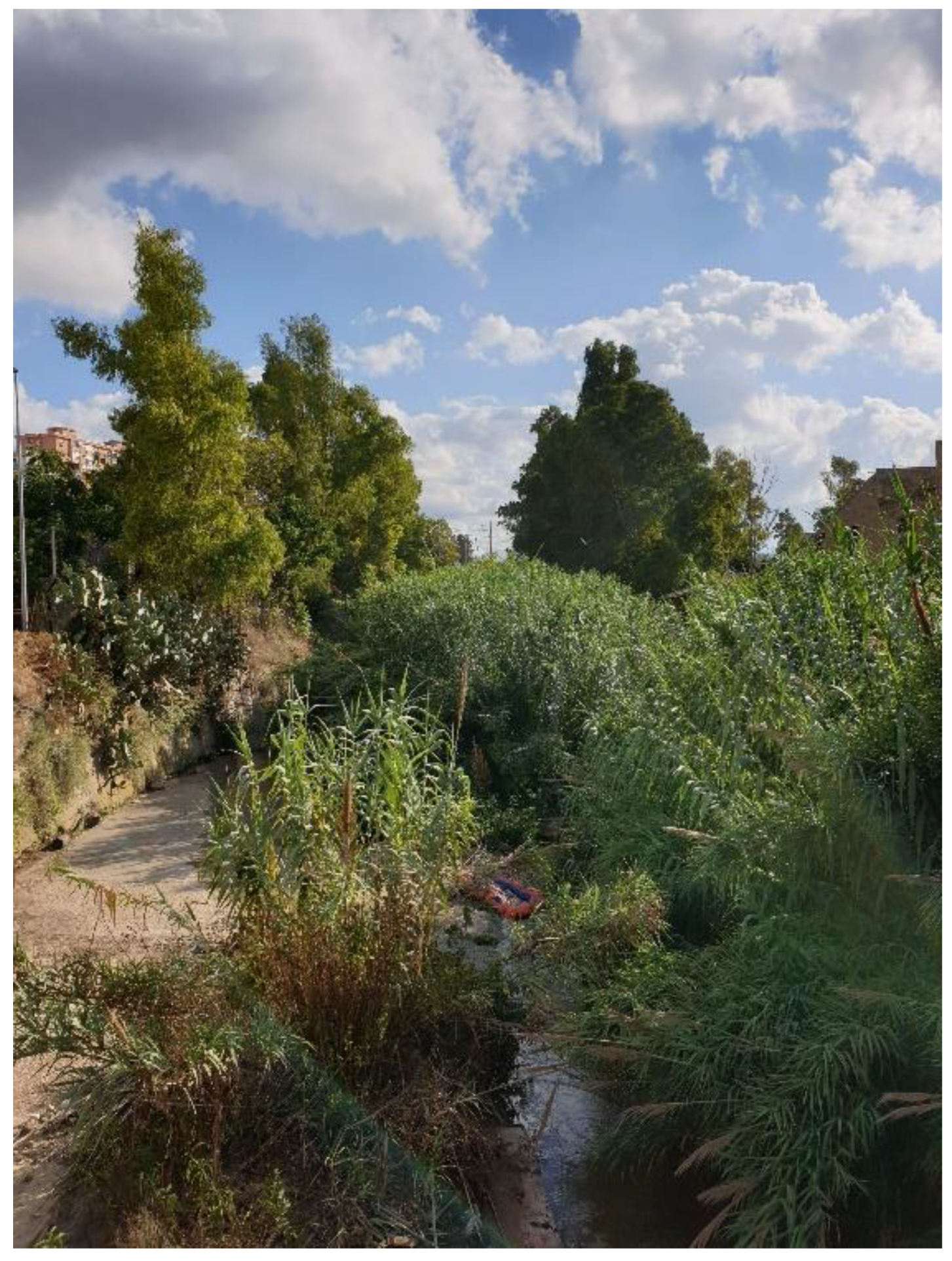 Sustainability 15 03486 g004 550