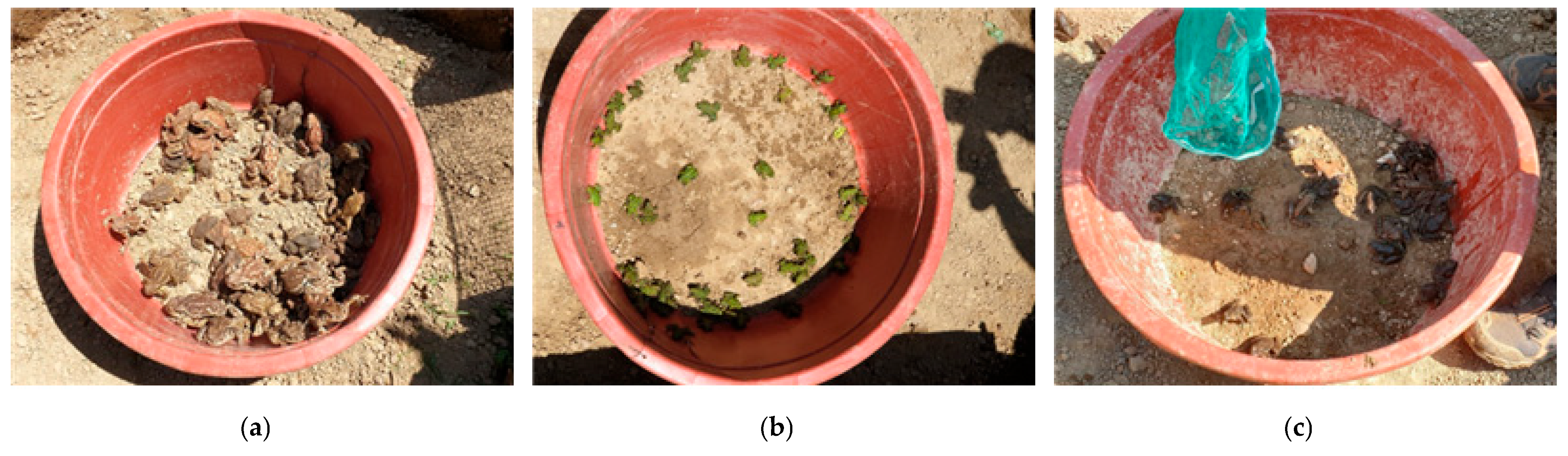 Sustainability 15 03501 g001 Sustainability 15 03501 g001