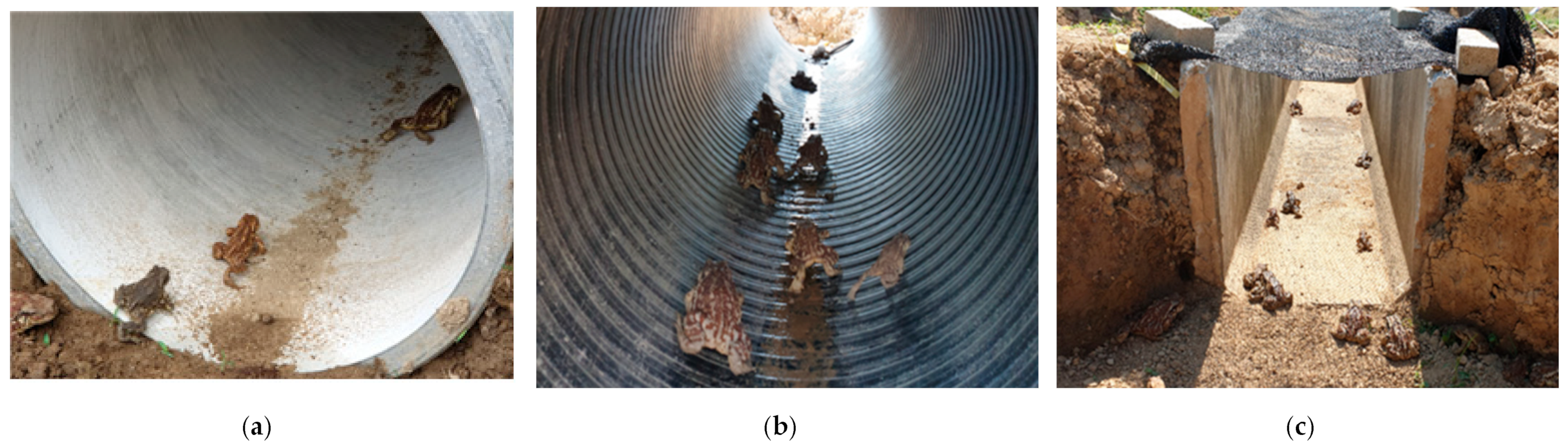 Sustainability 15 03501 g004 Sustainability 15 03501 g004