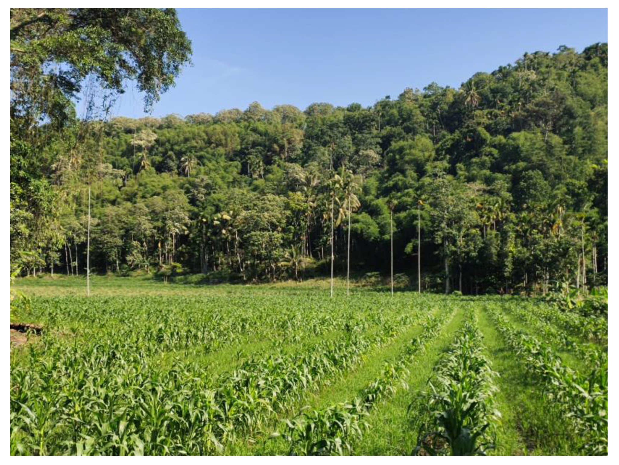 Sustainability 15 03502 g002