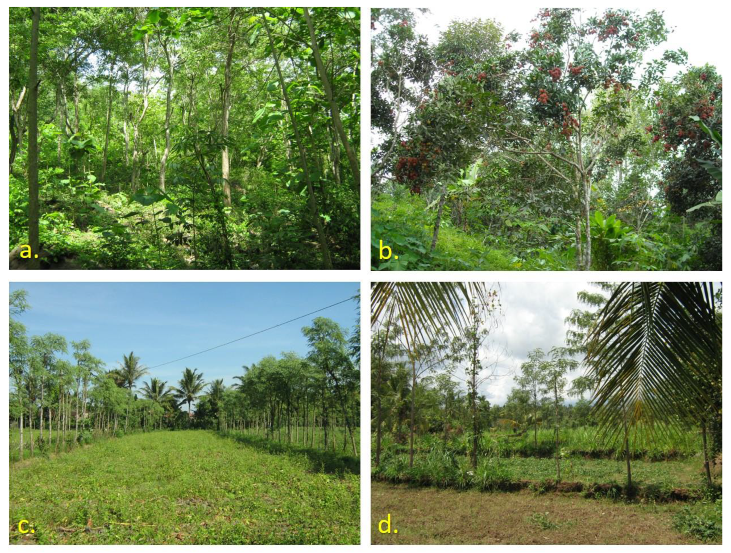 Sustainability 15 03502 g003