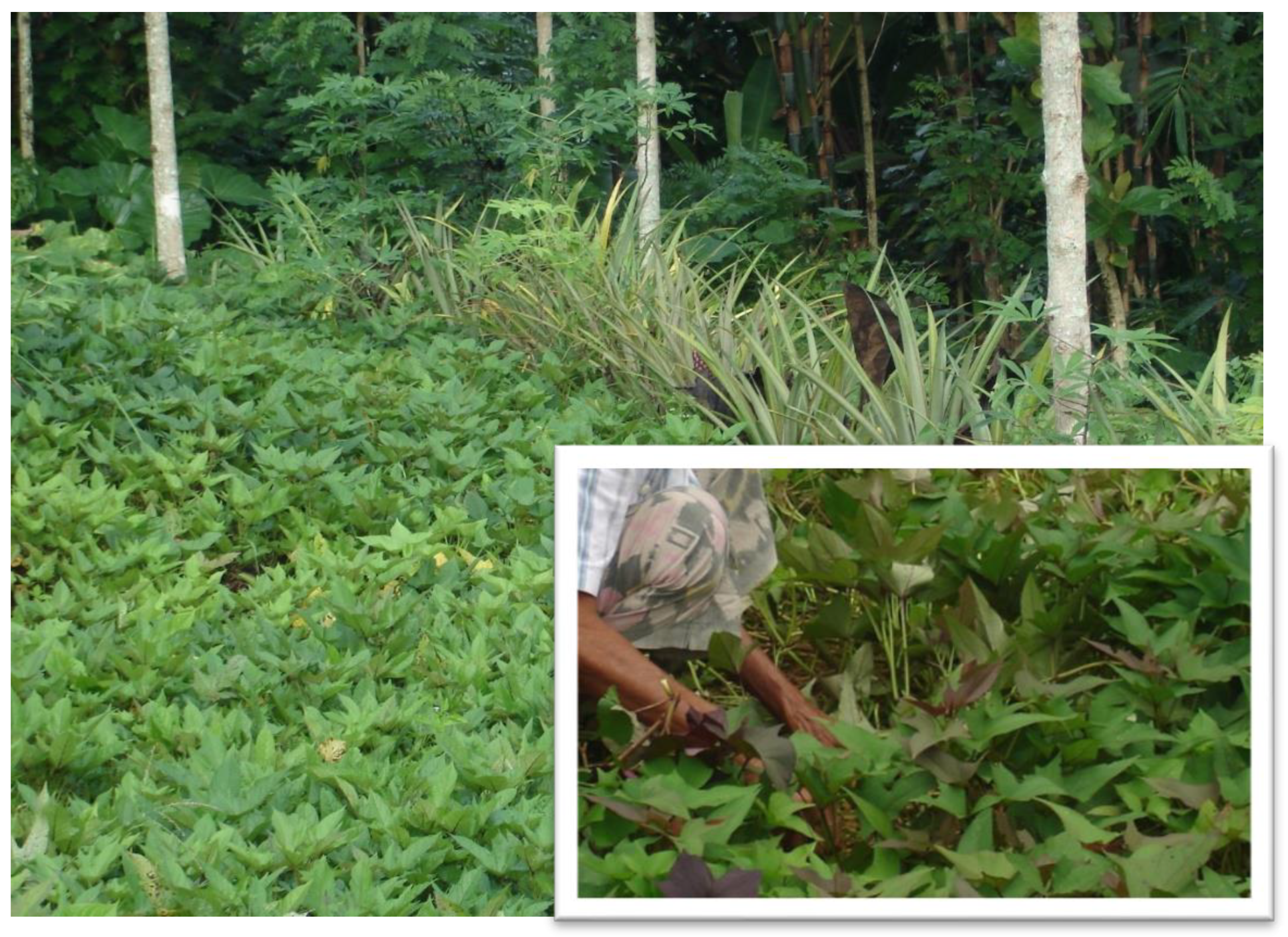 Sustainability 15 03502 g004