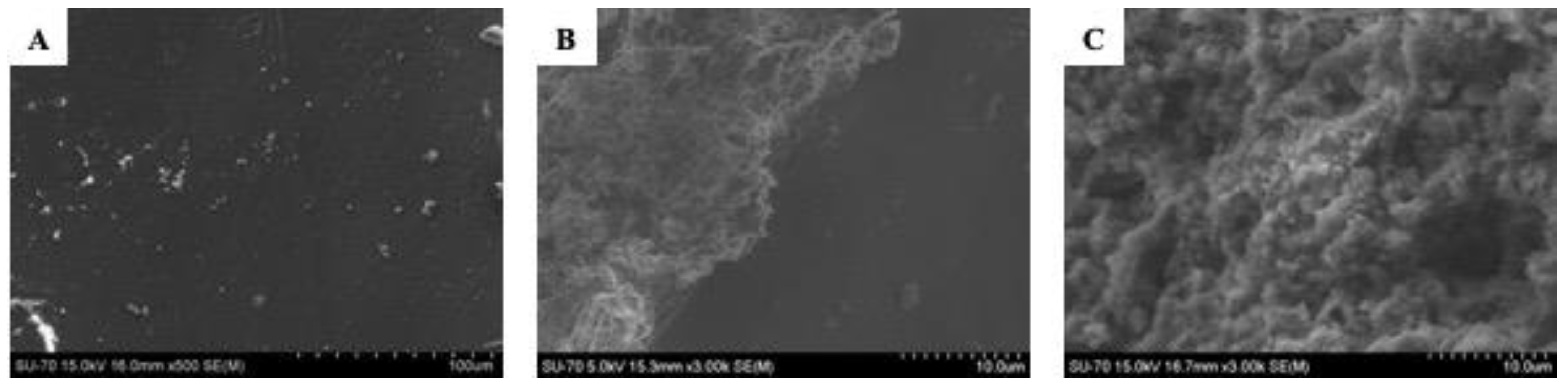 Sustainability 15 03547 g006 Sustainability 15 03547 g006