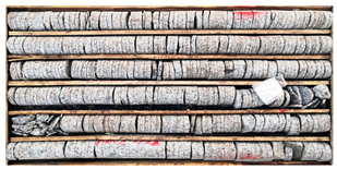 Sustainability 15 03551 i003 Sustainability 15 03551 i003