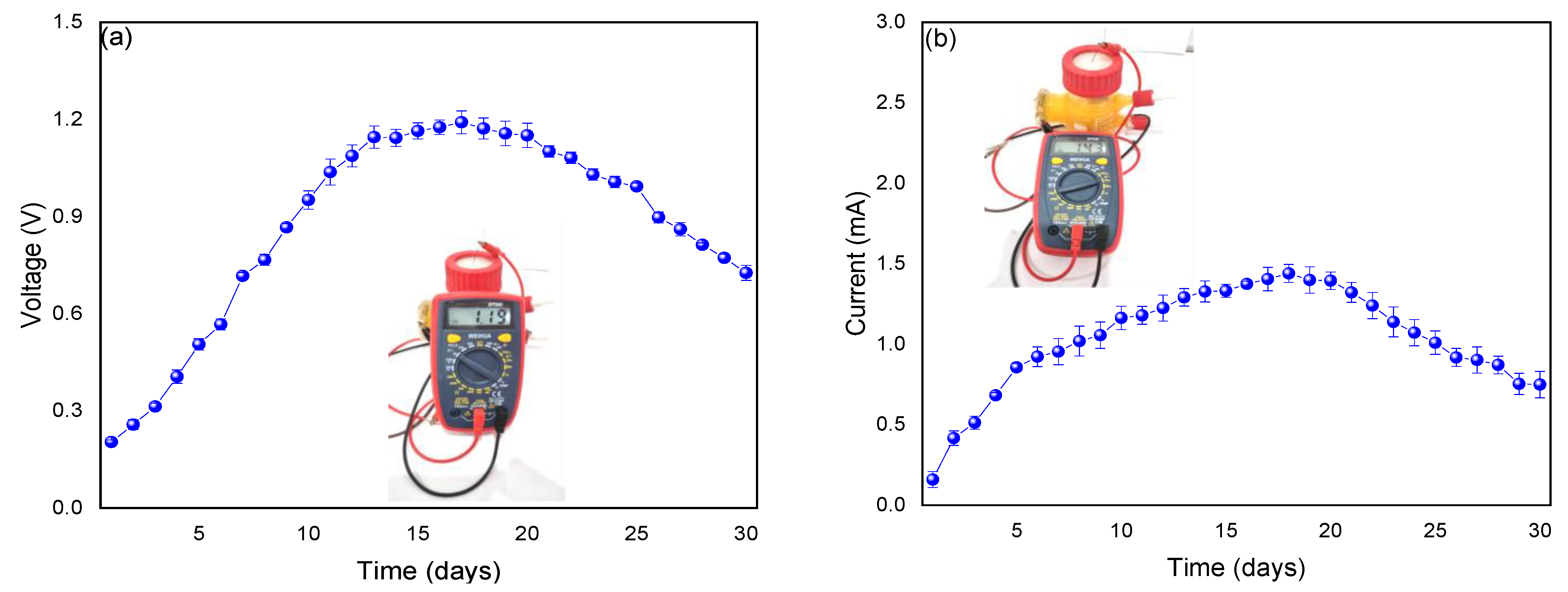 Sustainability 15 03559 g002
