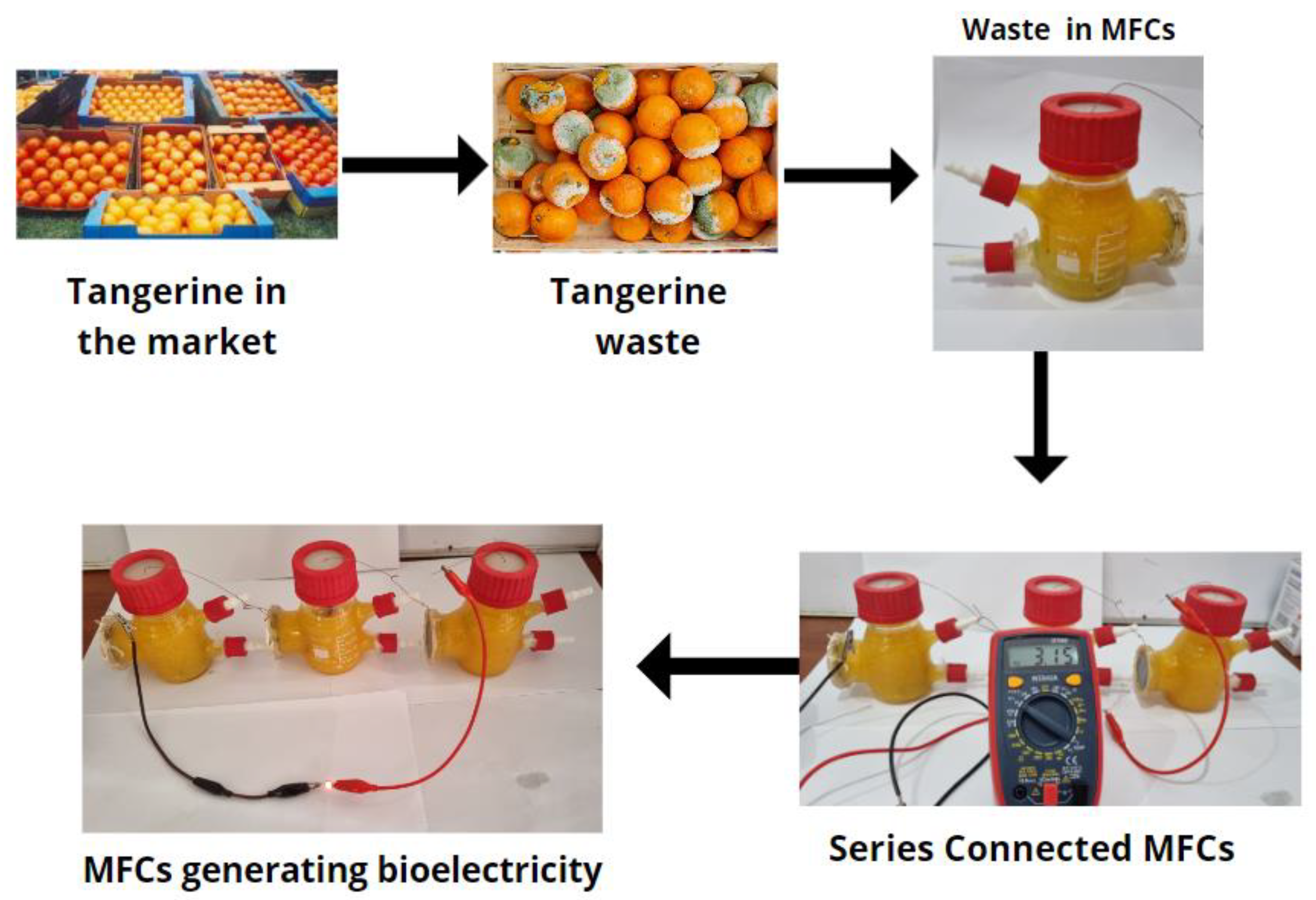 Sustainability 15 03559 g005