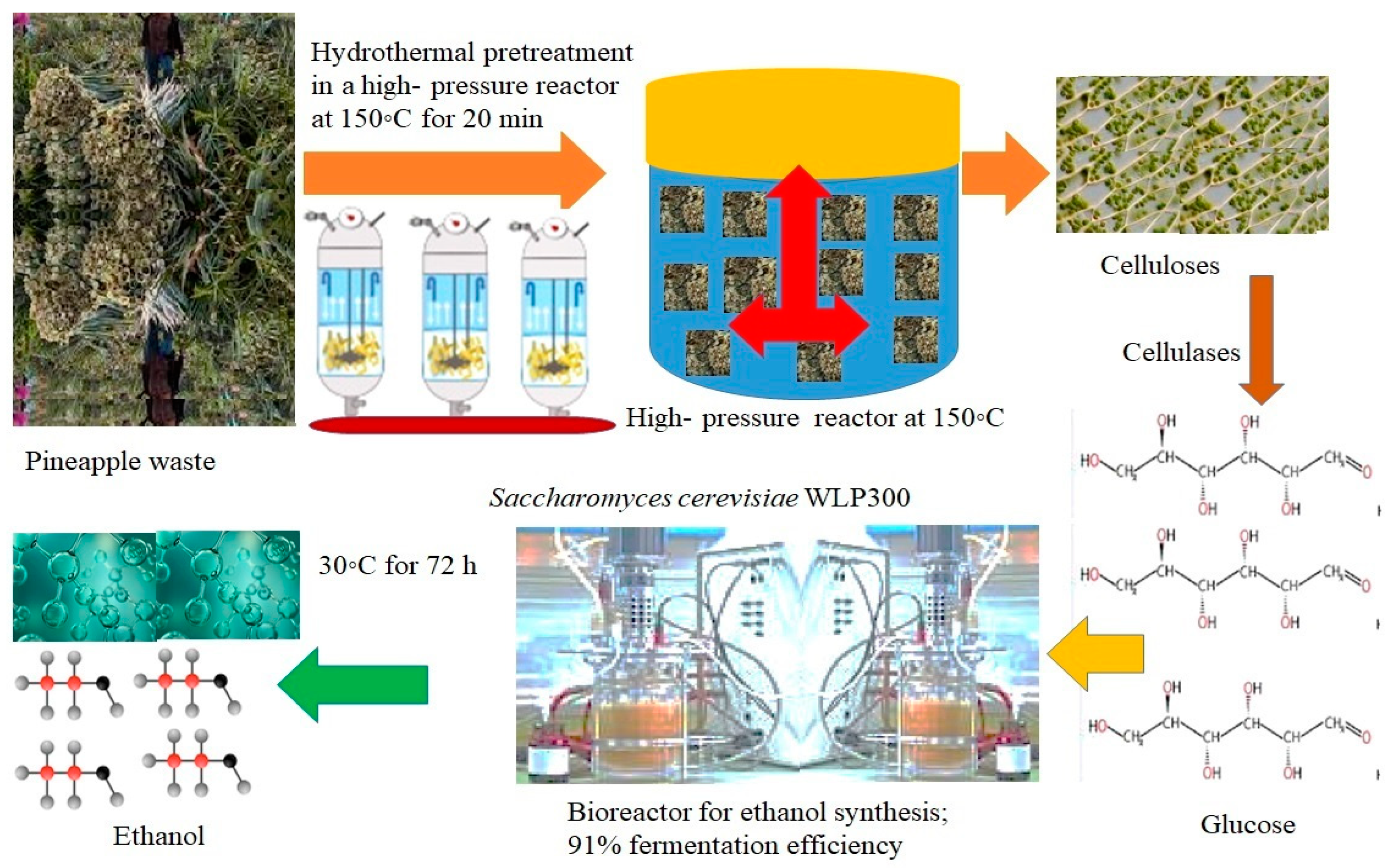 Sustainability 15 03575 g002 Sustainability 15 03575 g002