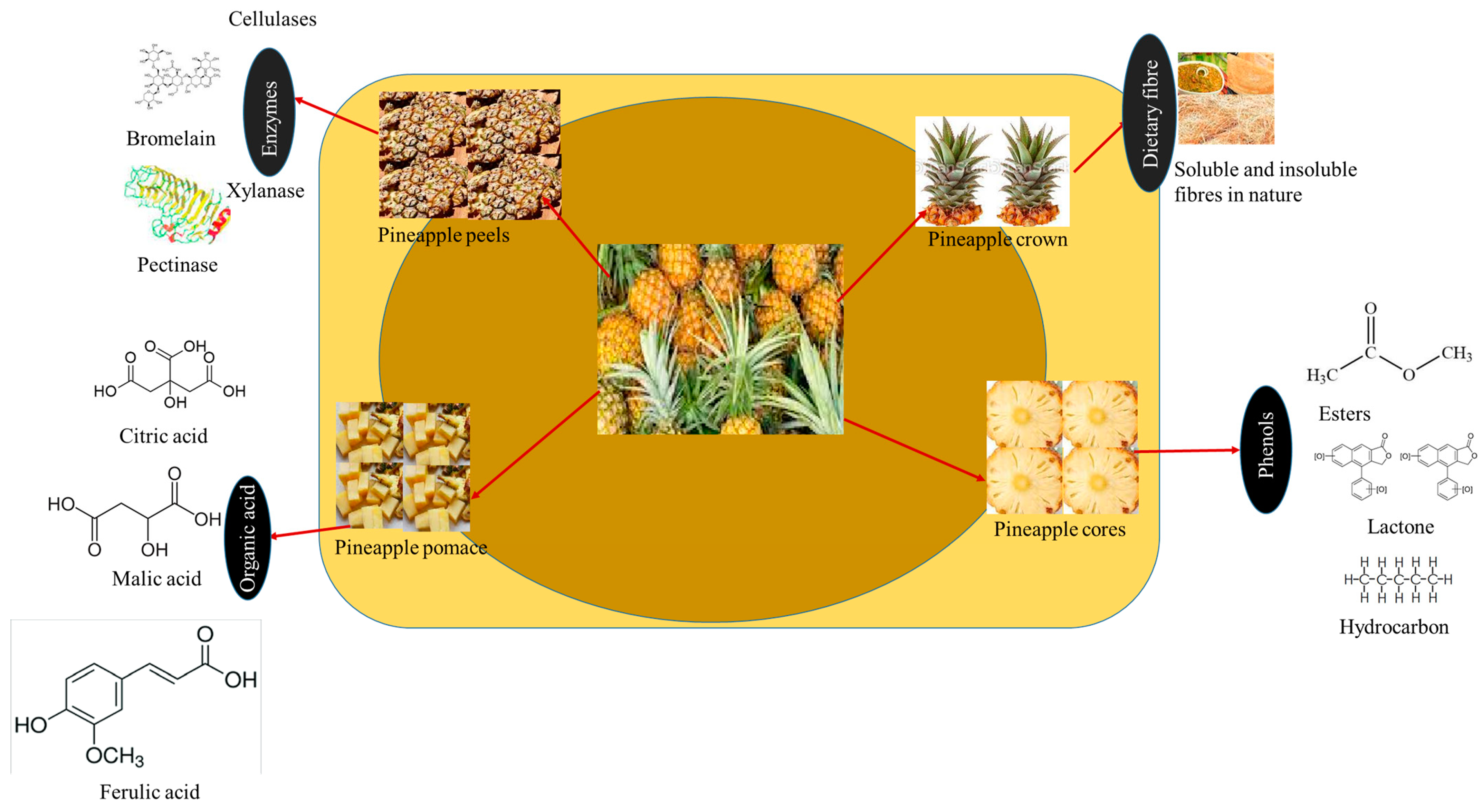 Sustainability 15 03575 g006 Sustainability 15 03575 g006