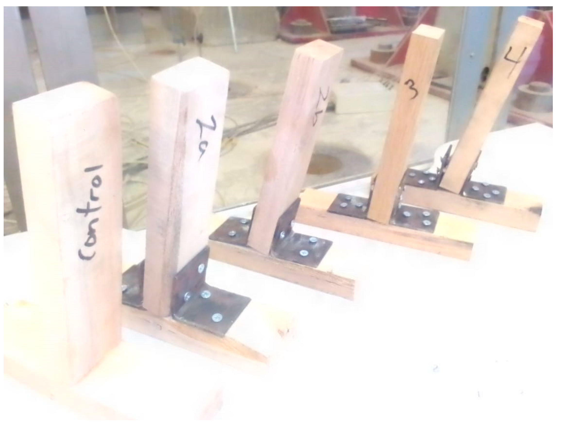 Sustainability 15 03579 g009