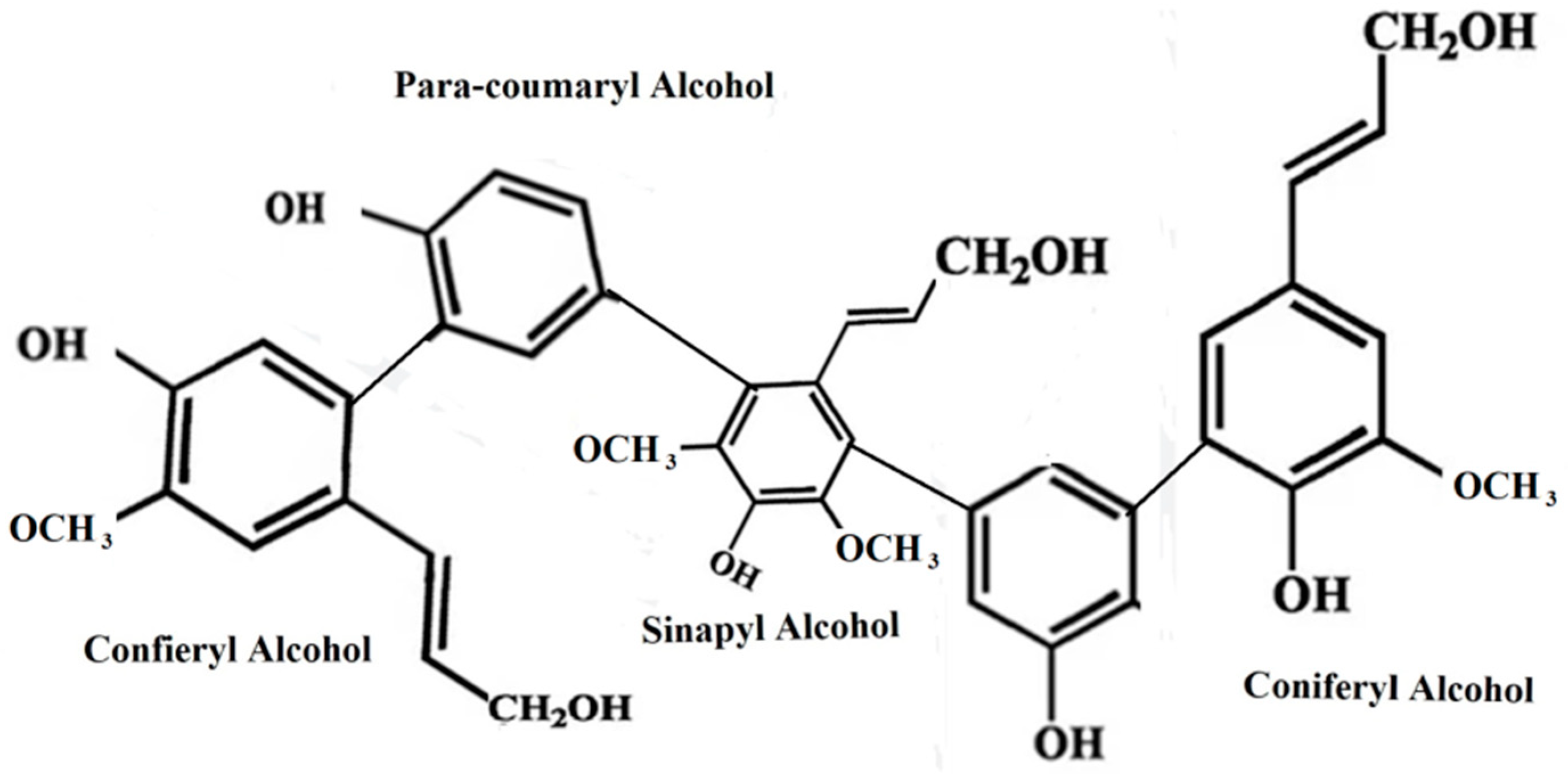 Sustainability 15 03590 g002 Sustainability 15 03590 g002