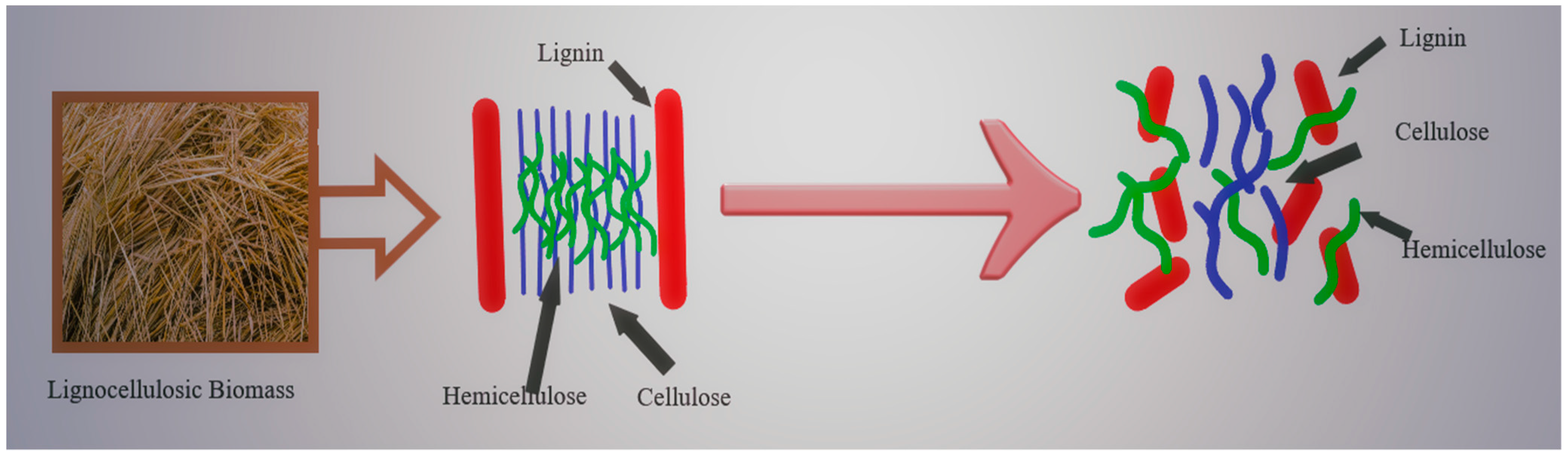 Sustainability 15 03590 g005 Sustainability 15 03590 g005