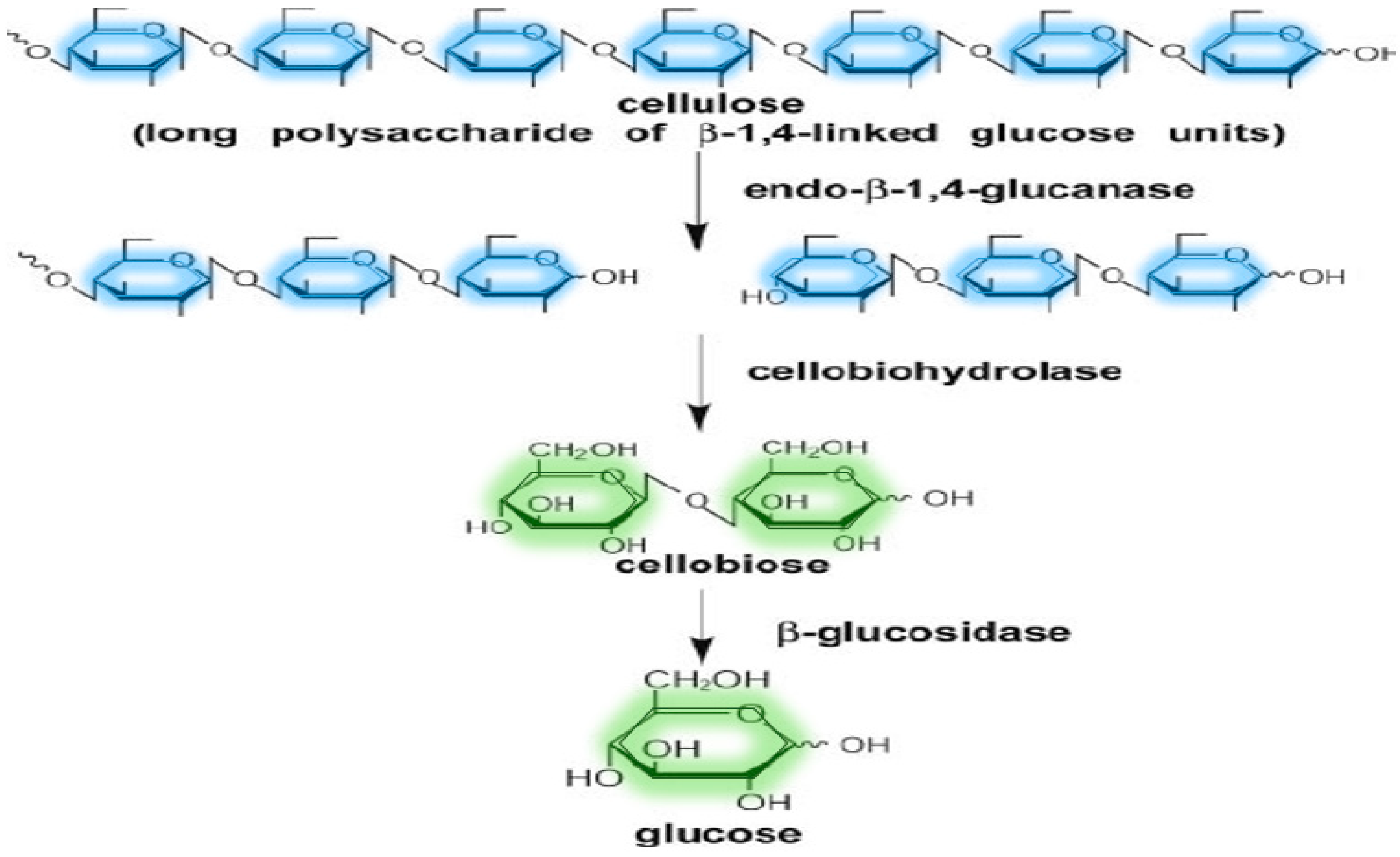 Sustainability 15 03590 g006 Sustainability 15 03590 g006