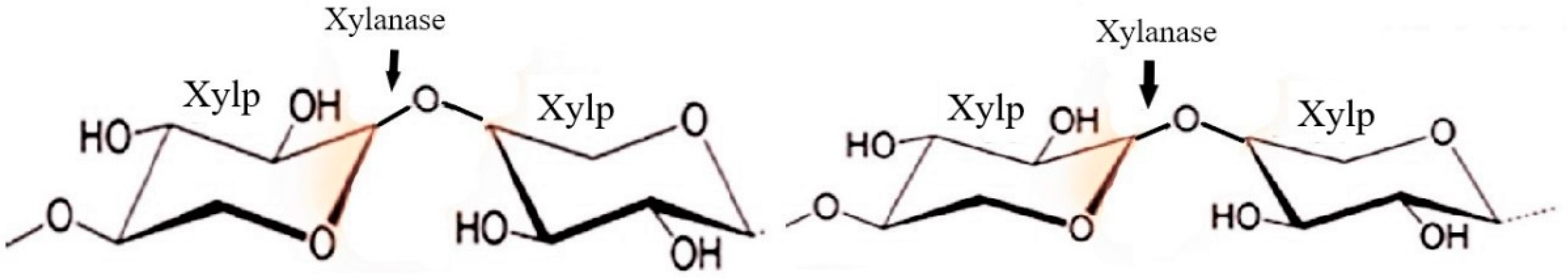 Sustainability 15 03590 g007 Sustainability 15 03590 g007