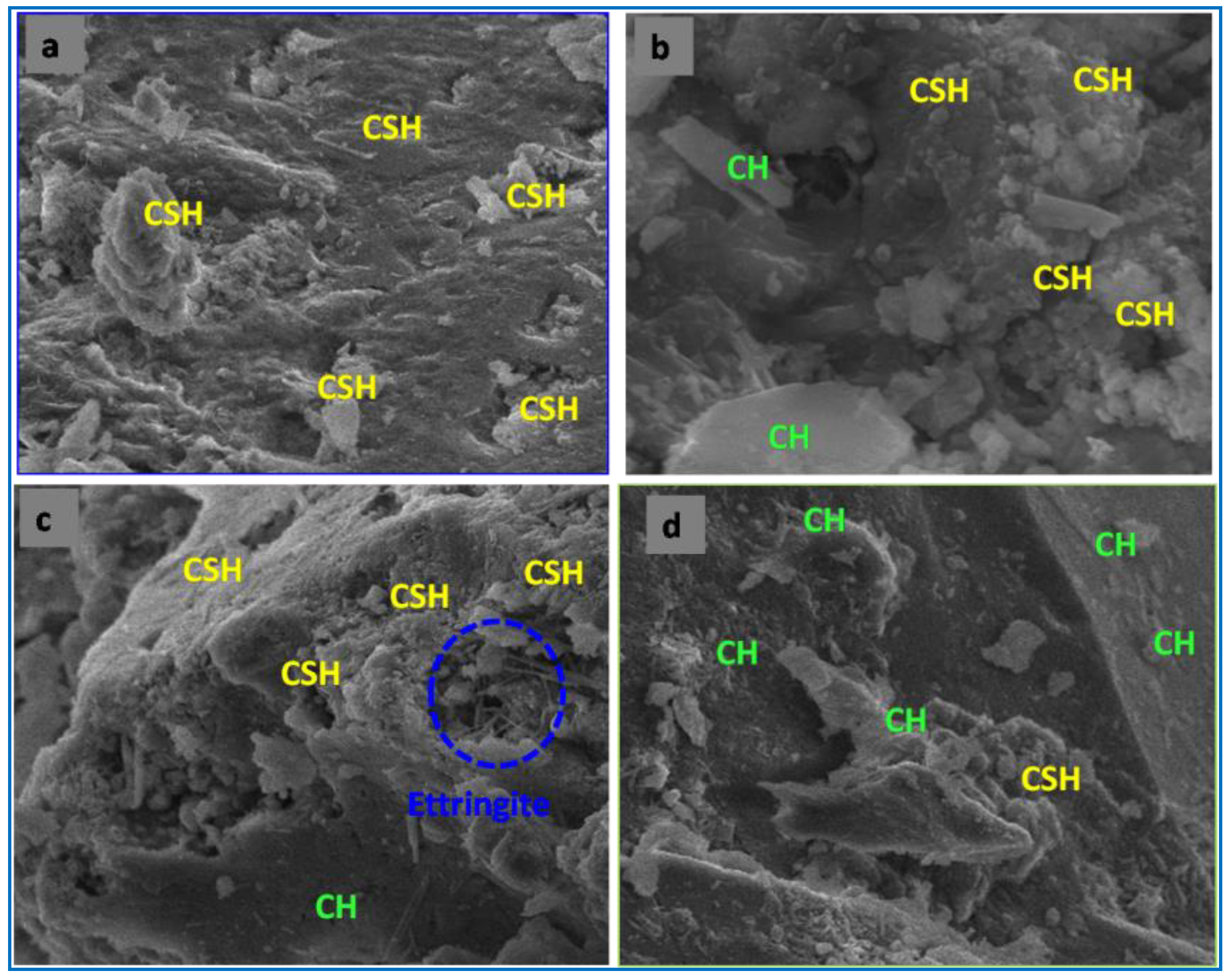 Sustainability 15 03591 g005