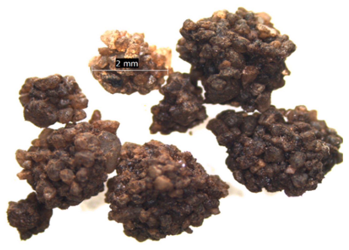 Sustainability 15 03599 g003