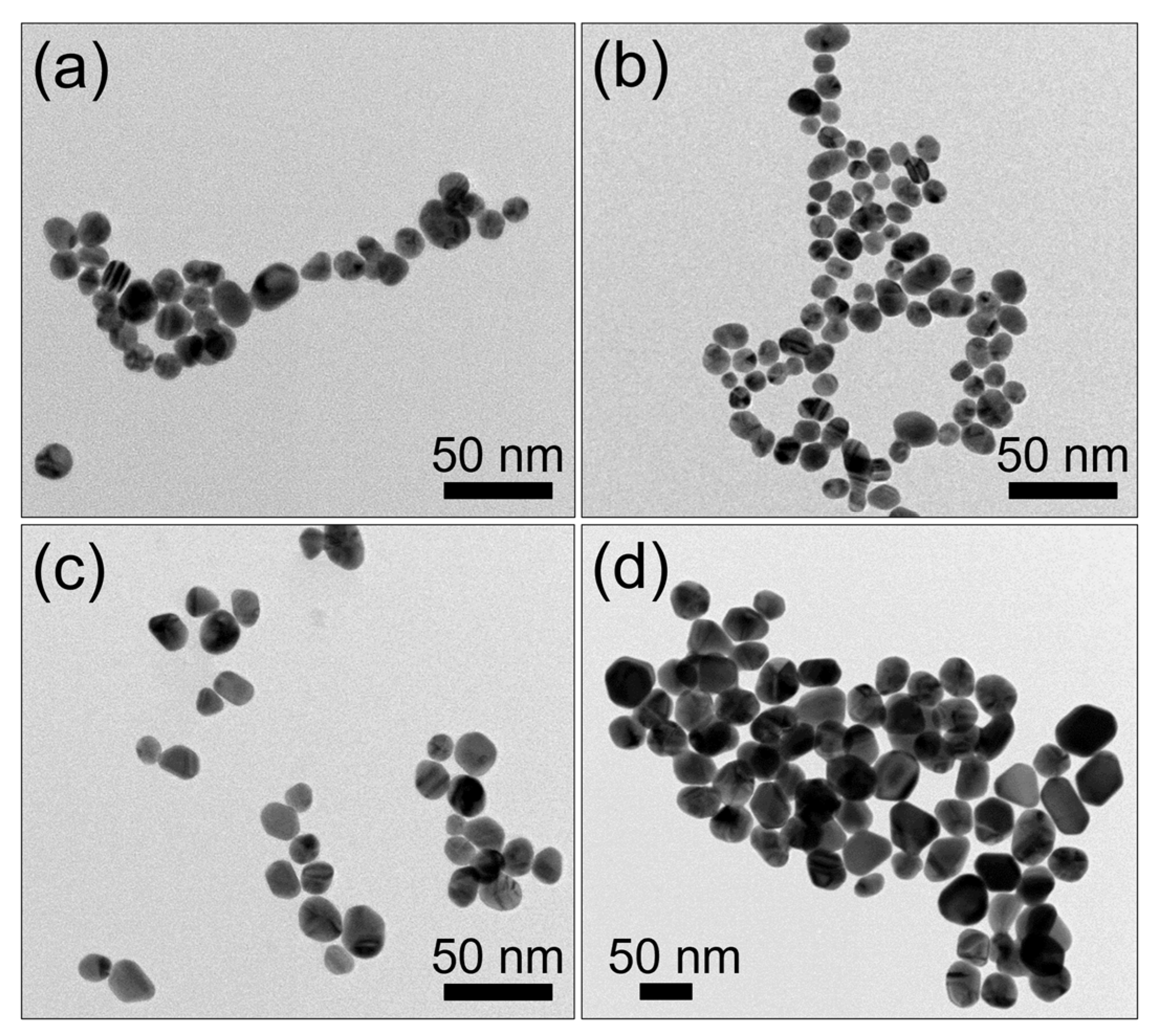 Sustainability 15 03621 g001 Sustainability 15 03621 g001