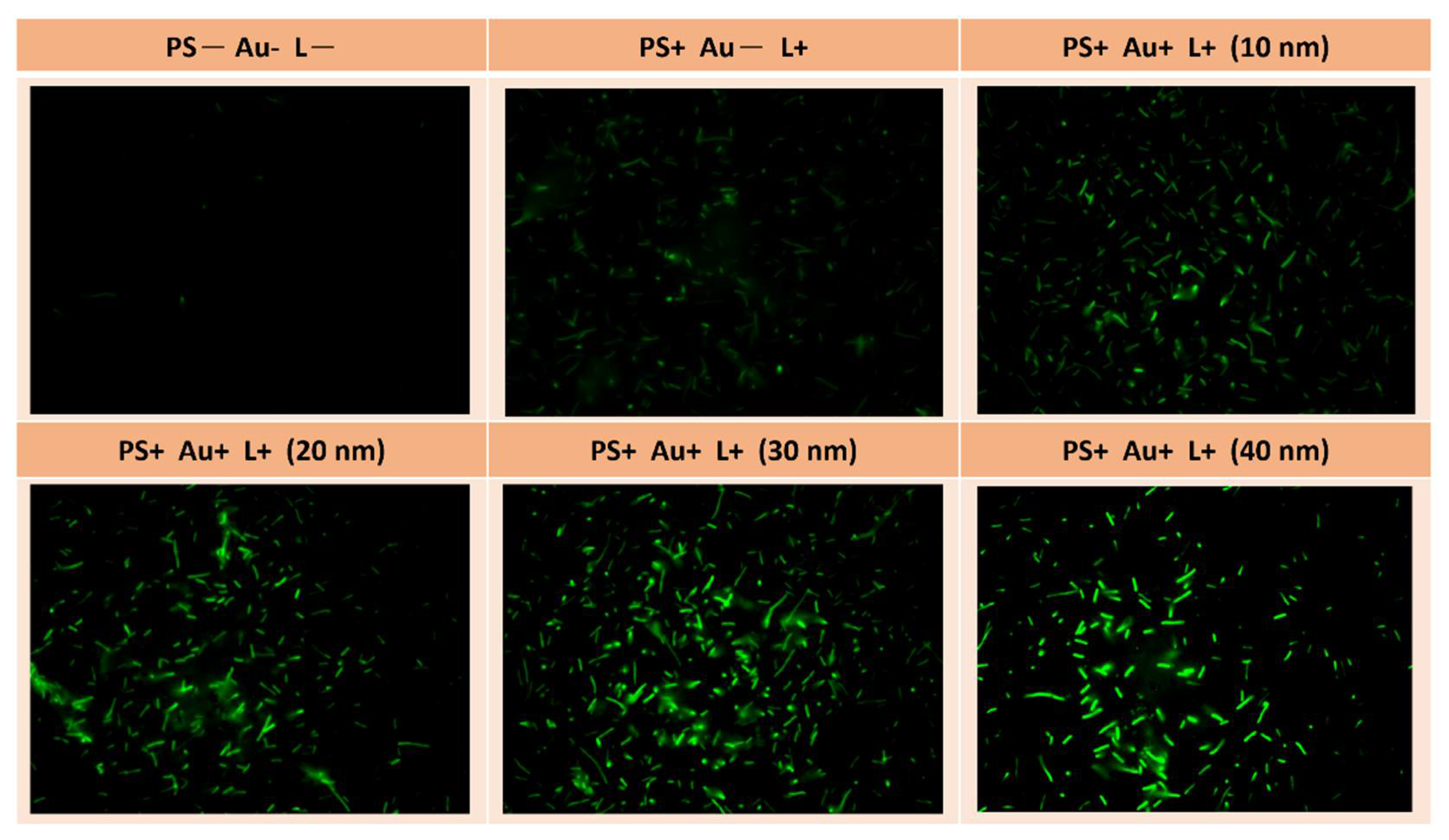 Sustainability 15 03621 g007 Sustainability 15 03621 g007