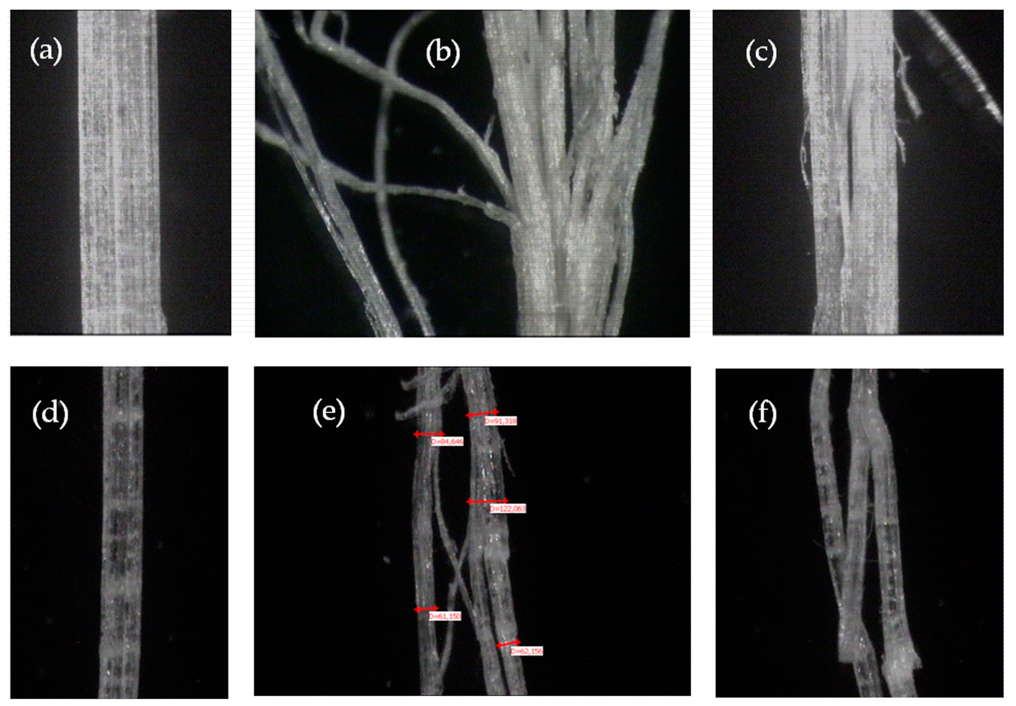 Sustainability 15 03635 g004 Sustainability 15 03635 g004