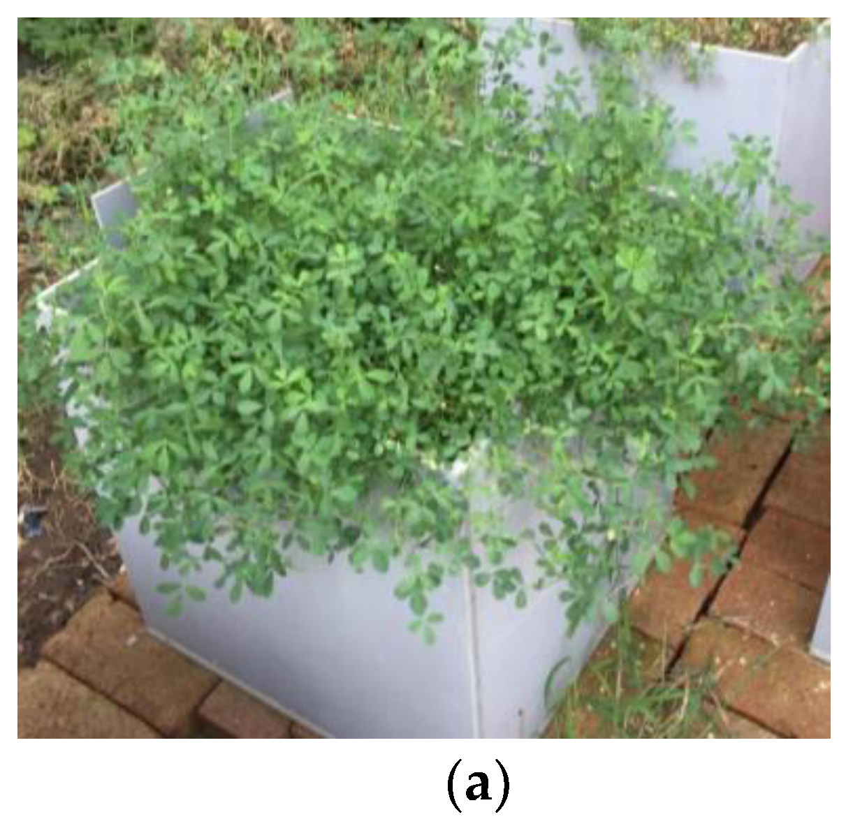 Sustainability 15 03709 g001a