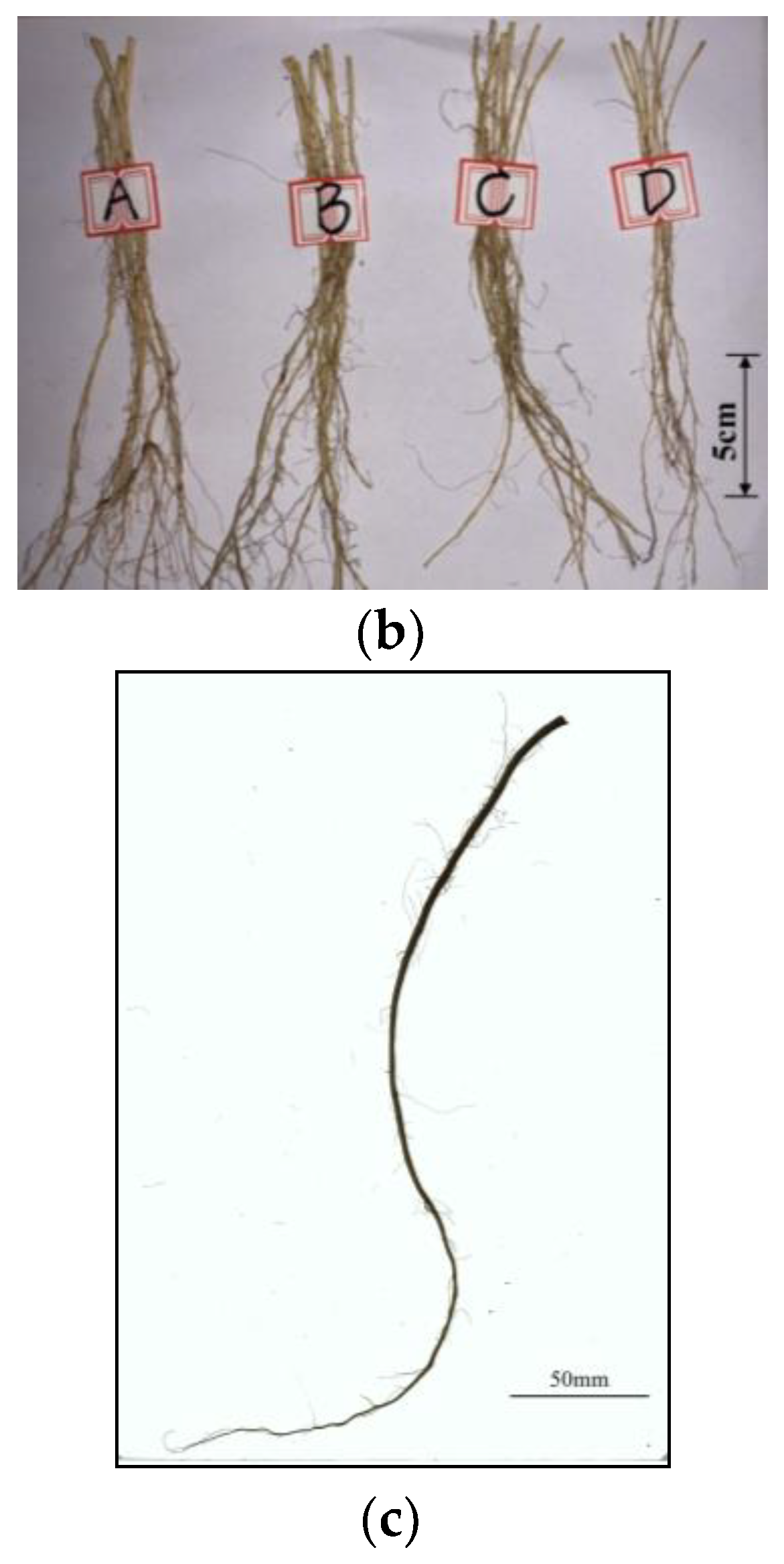 Sustainability 15 03709 g001b