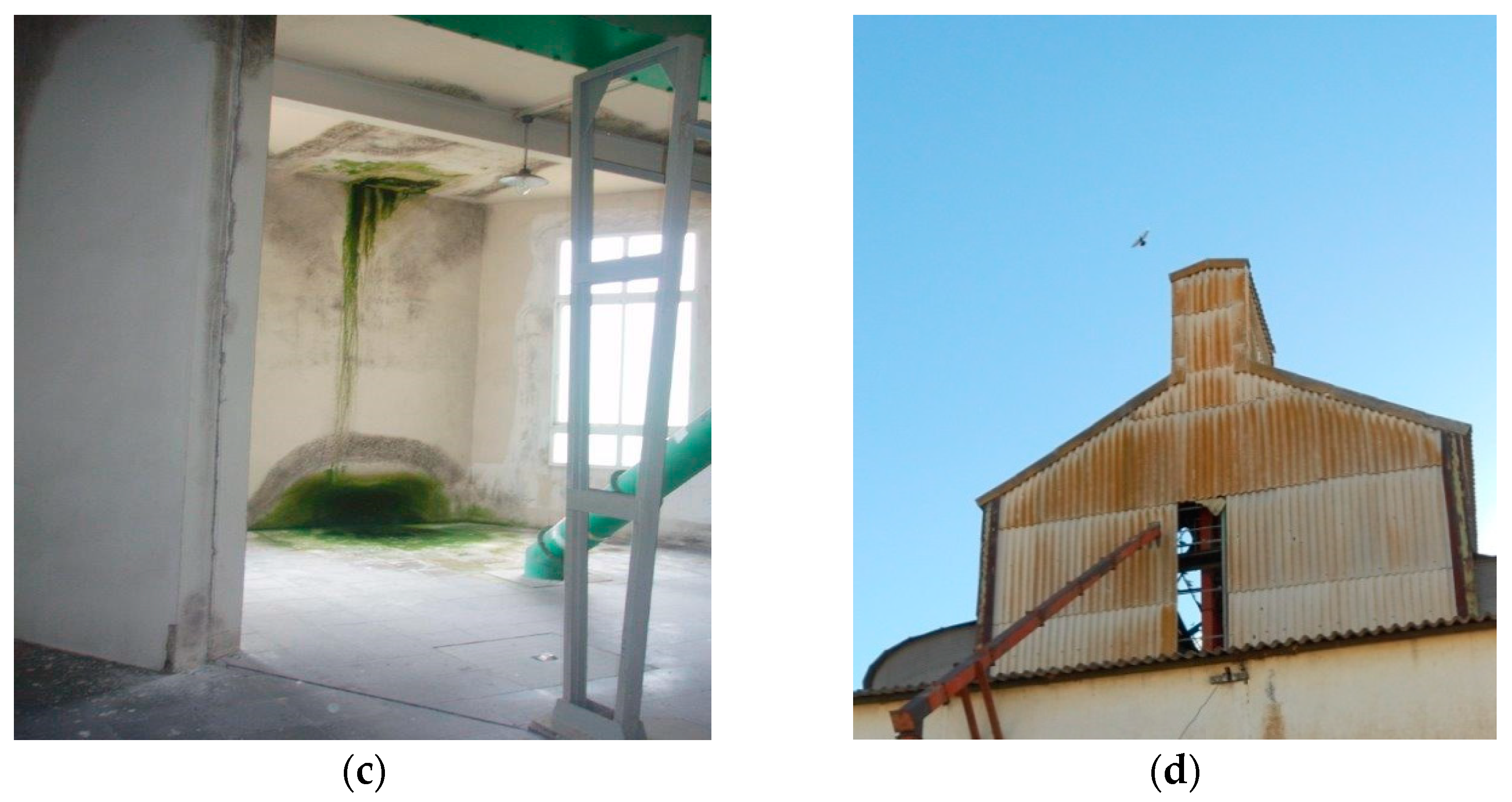 Sustainability 15 03755 g005b