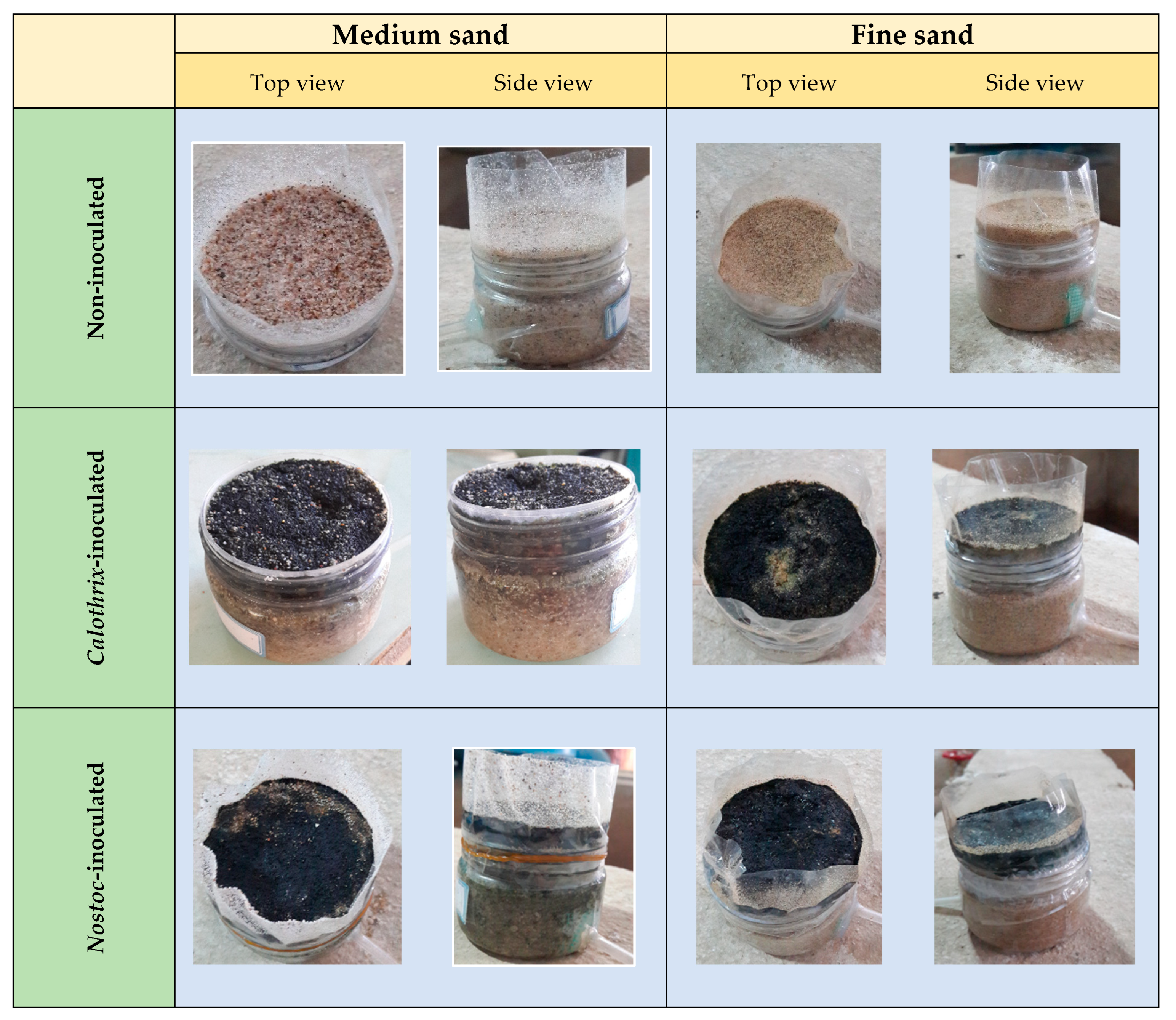 Sustainability 15 03811 g004 Sustainability 15 03811 g004