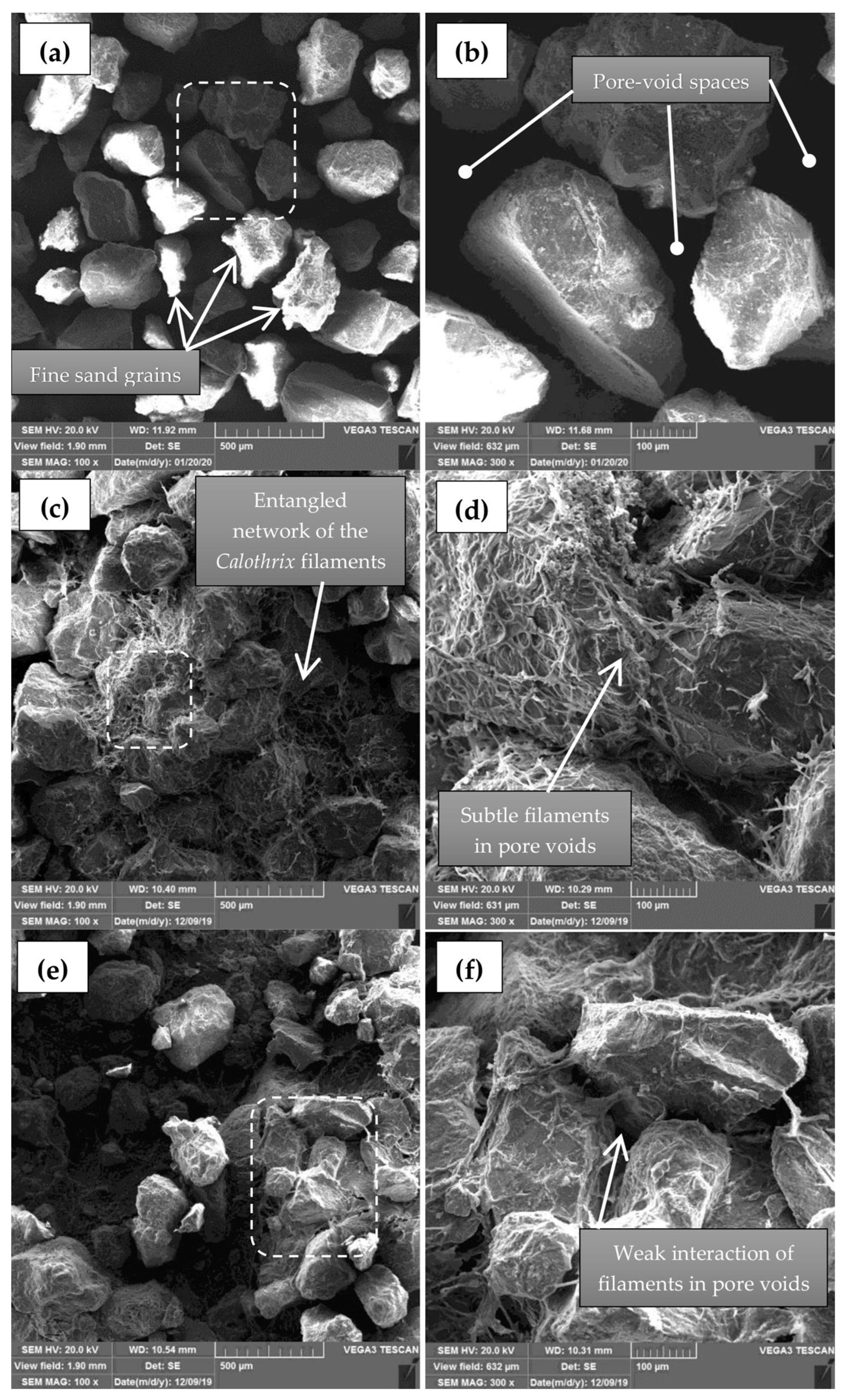 Sustainability 15 03811 g005 Sustainability 15 03811 g005