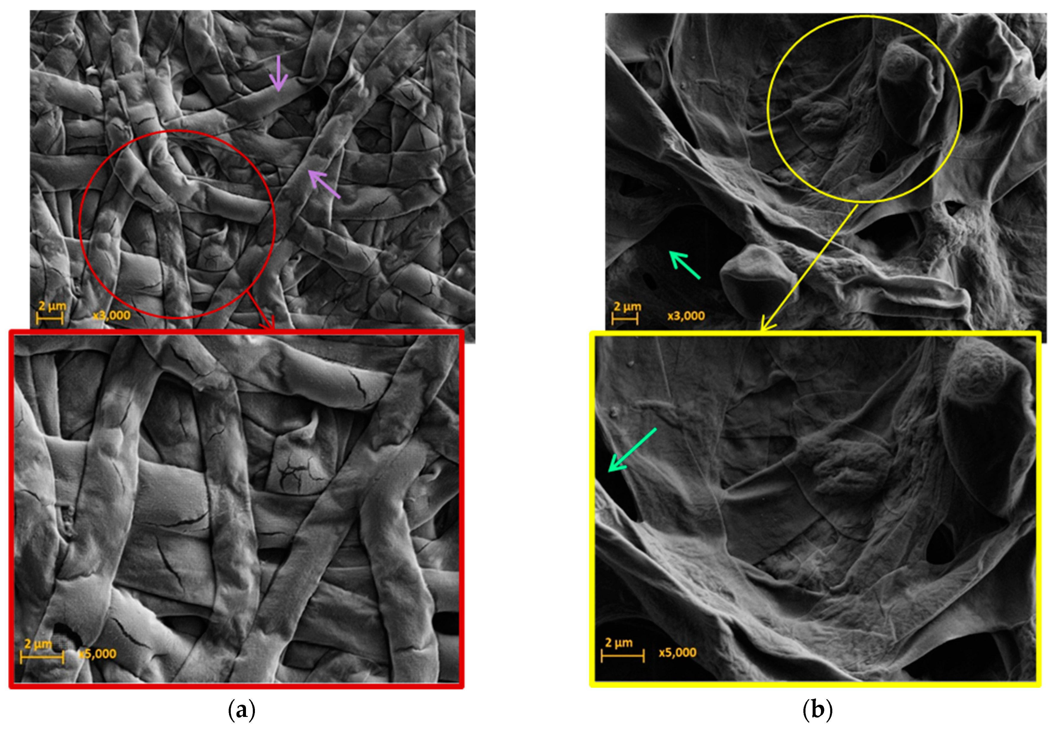 Sustainability 15 03819 g006 Sustainability 15 03819 g006